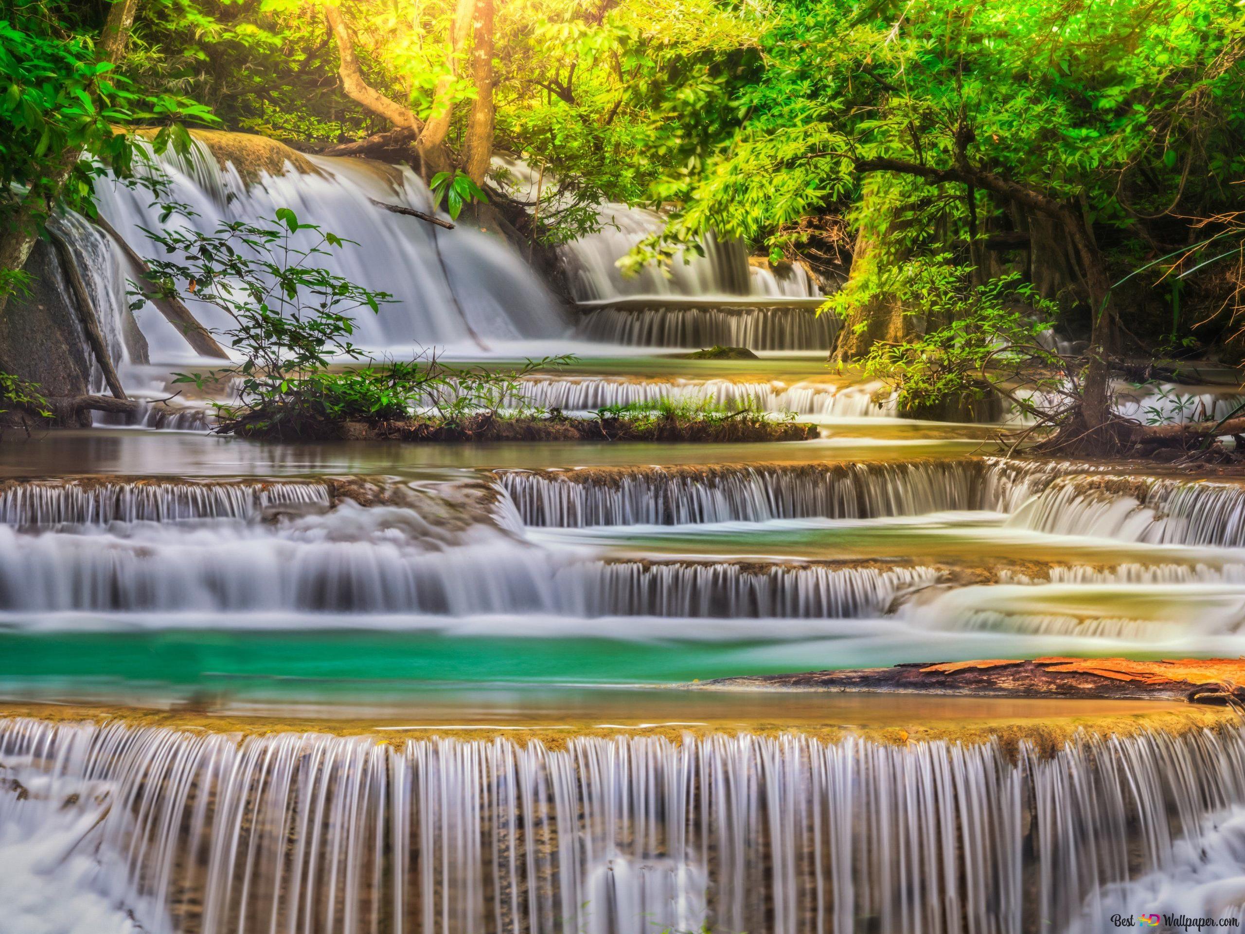 Photographing the stream with clean water in the natural green colors of the forest with long exposure technique 2K wallpaper download