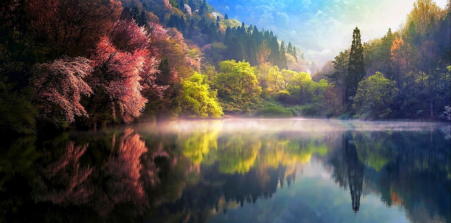 nature spring sunrise mist lake trees reflection forest landscape hill water colorful south korea Gallery HD Wallpaper