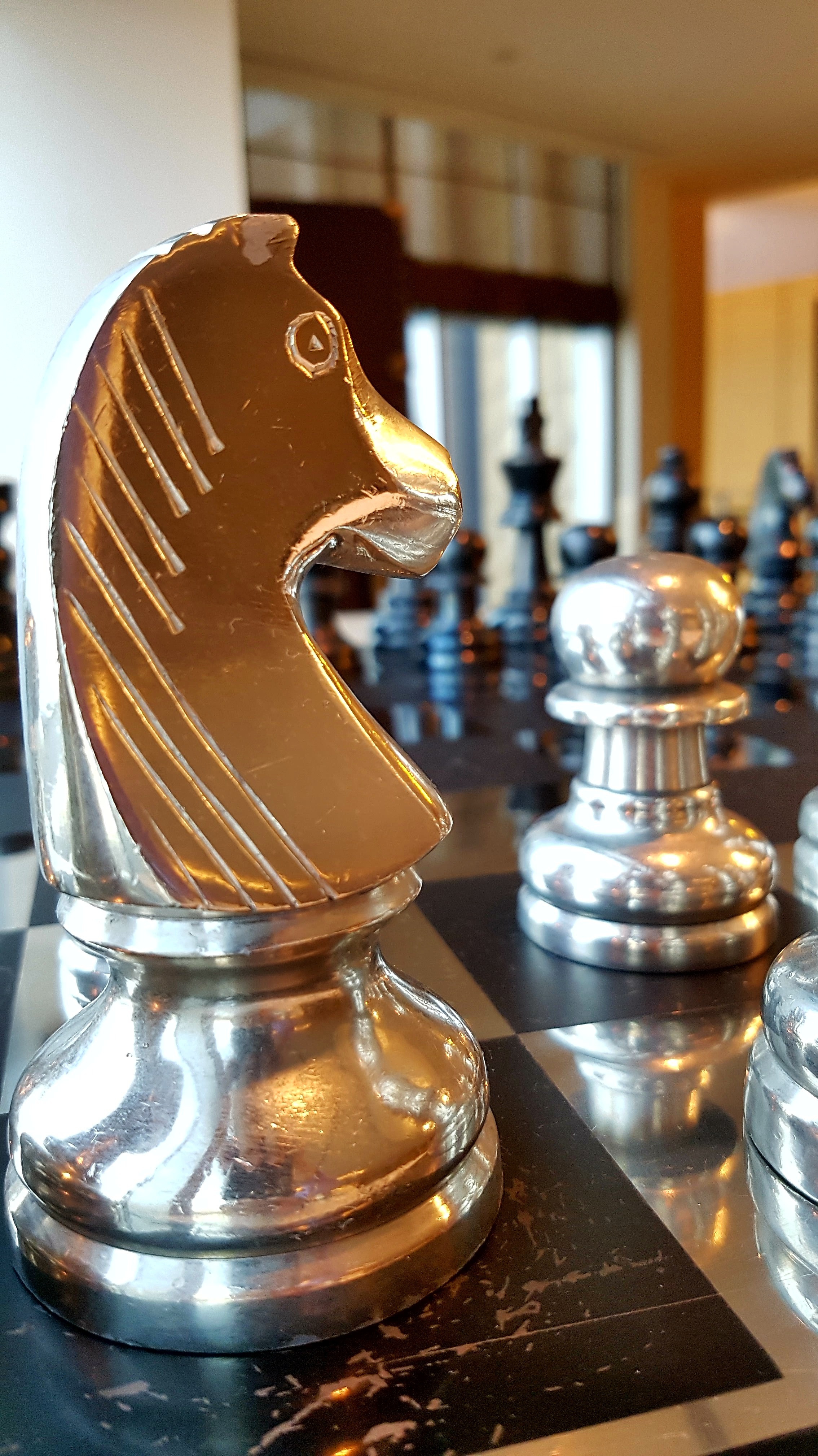 Free Image, game, horse, figure, chess, knight, strategy, trophy, indoor games and sports 2268x4032