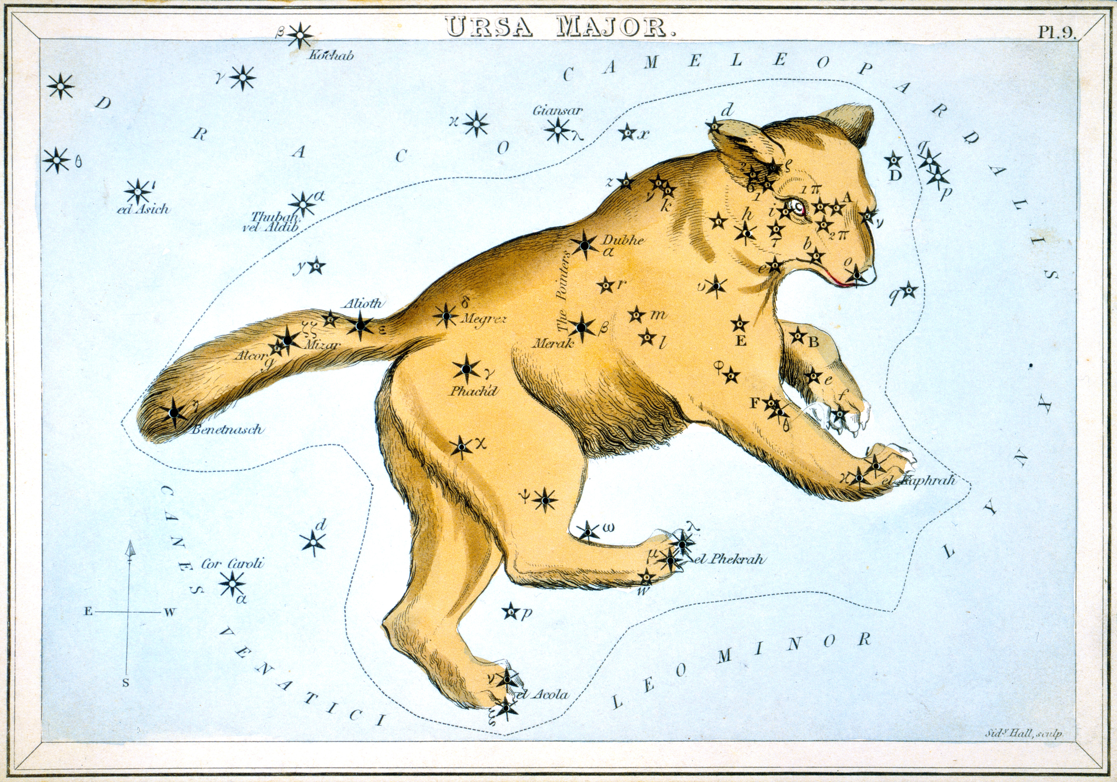 Ursa Major, the Great Bear