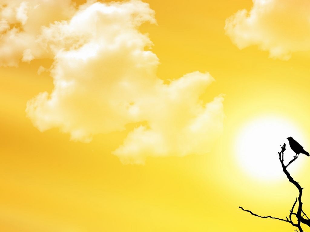 of Summer 4K wallpaper for your desktop or mobile screen