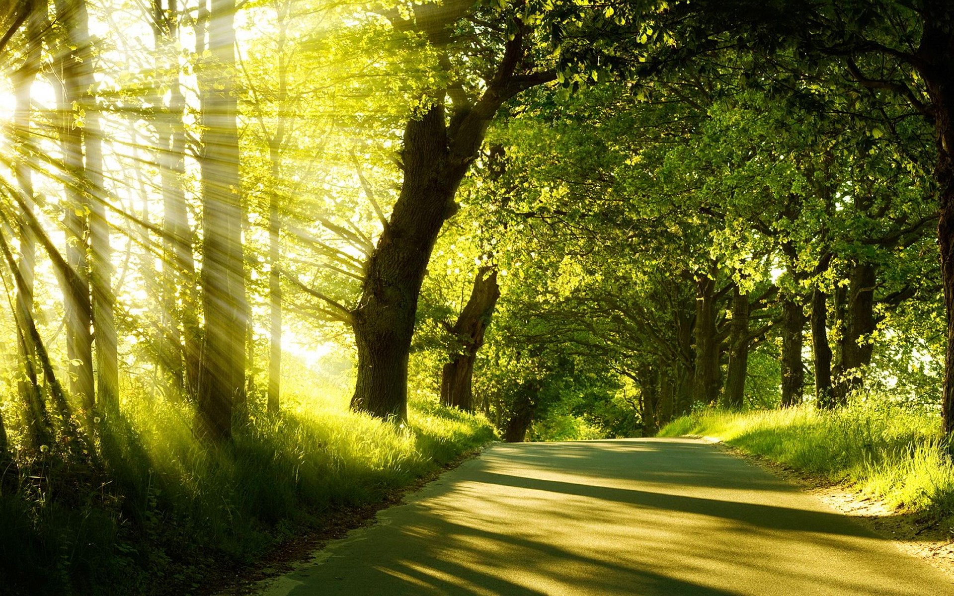 summer free desktop Gallery HD Wallpaper