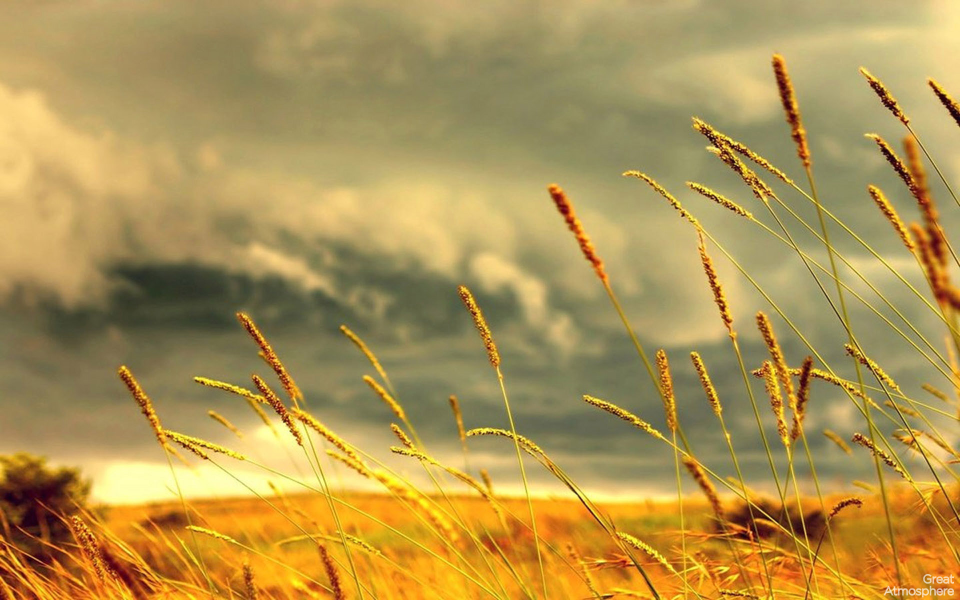 Beautiful Summer Wallpaper For Desktop