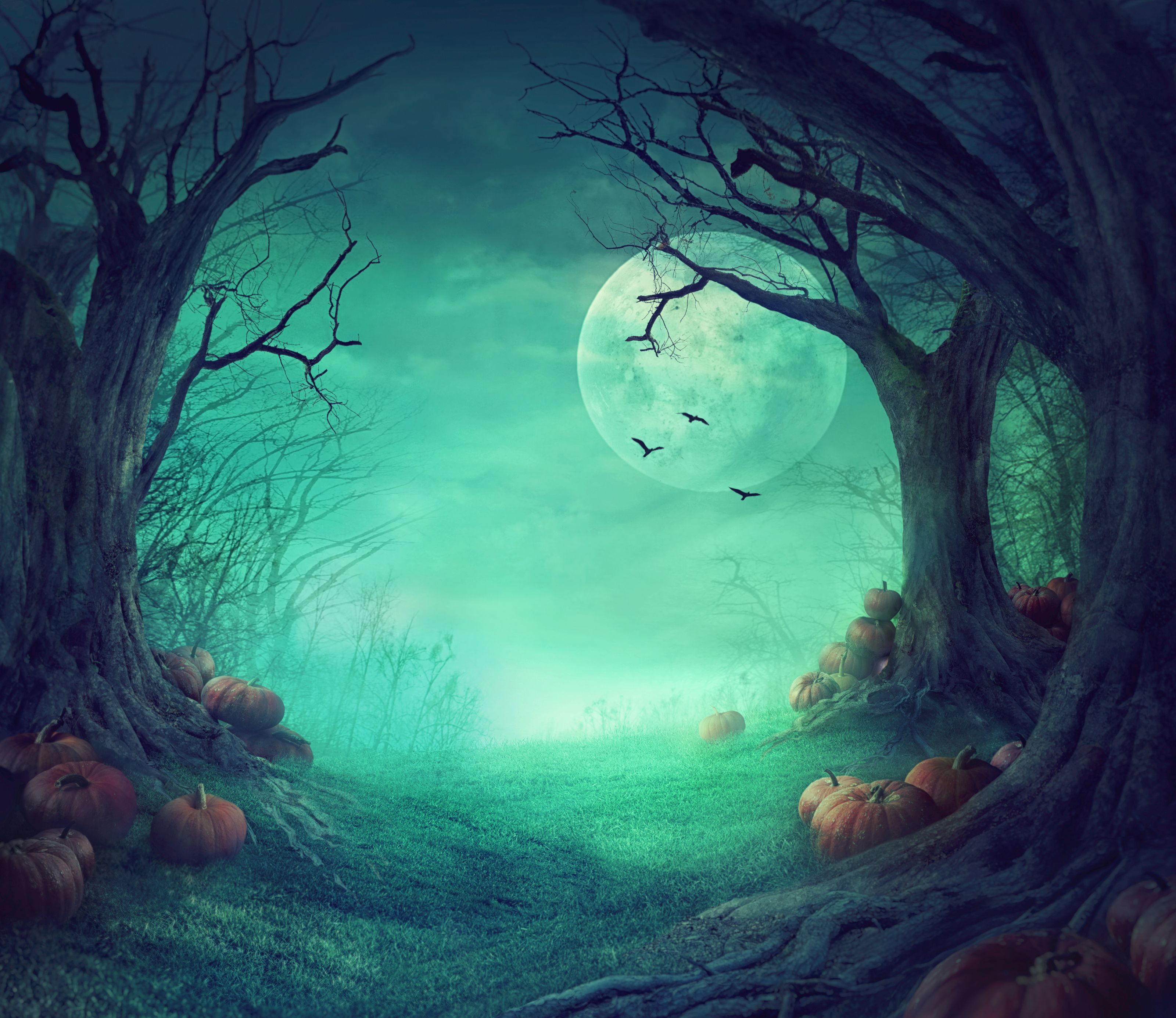 Spooky Halloween Woods Wall Mural