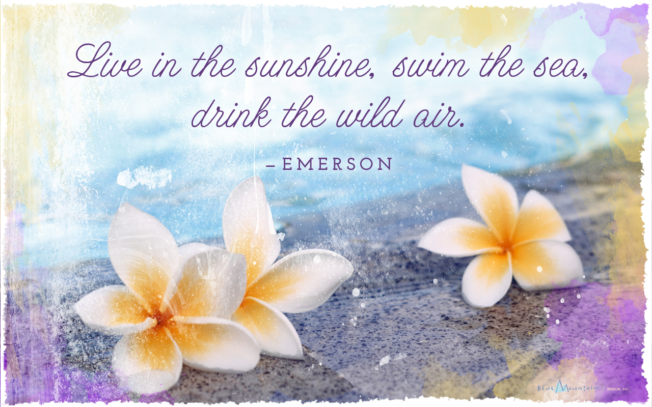 Free download Summer 2015 Covers Wallpaper Gallery [1280x800] for your Desktop, Mobile & Tablet. Explore Summer 2015 Wallpaper. Summer Background, Summer Background, Summer Wallpaper