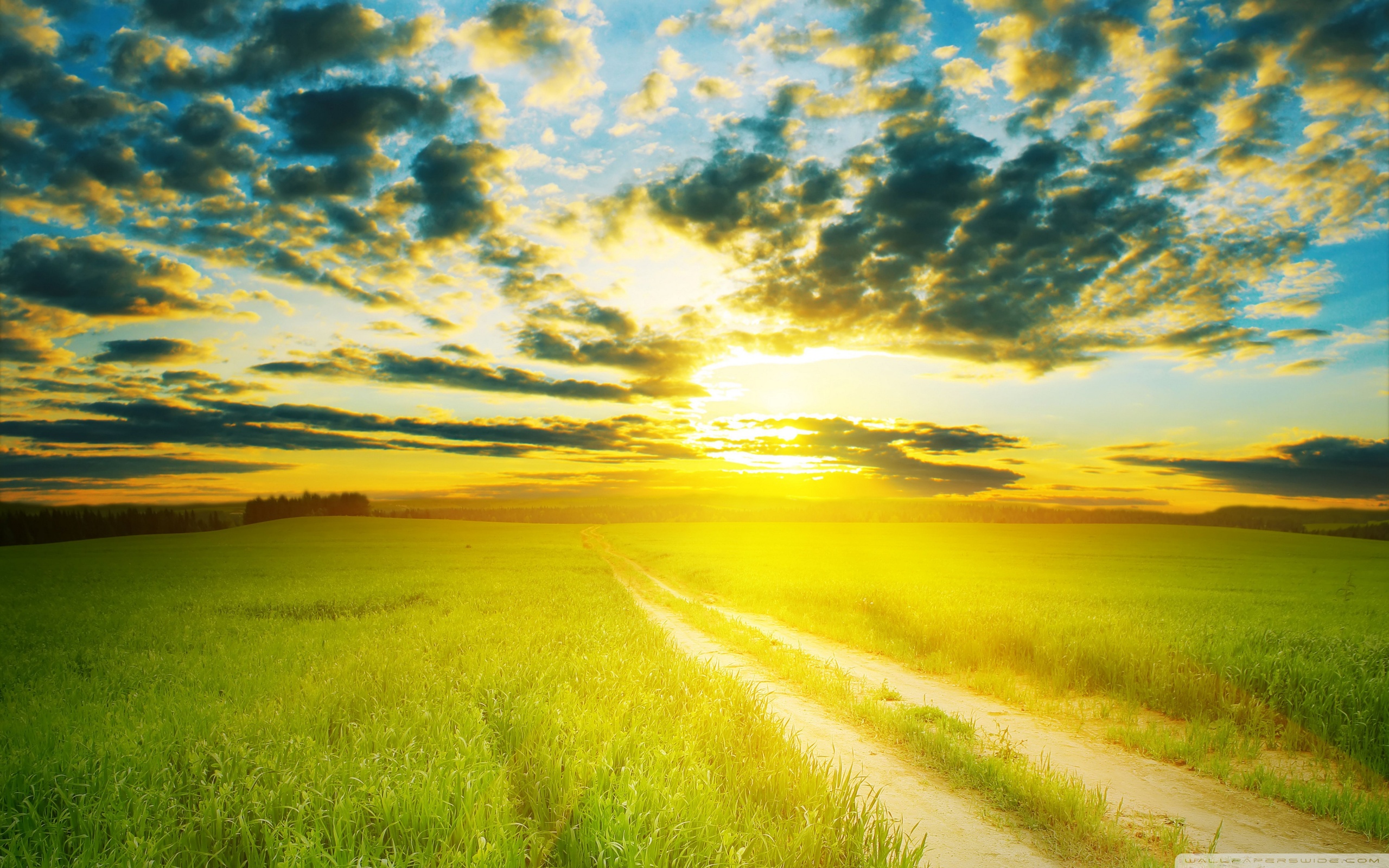 Yellow Sunshine Ultra HD Desktop Background Wallpaper for 4K UHD TV, Multi Display, Dual Monitor, Tablet