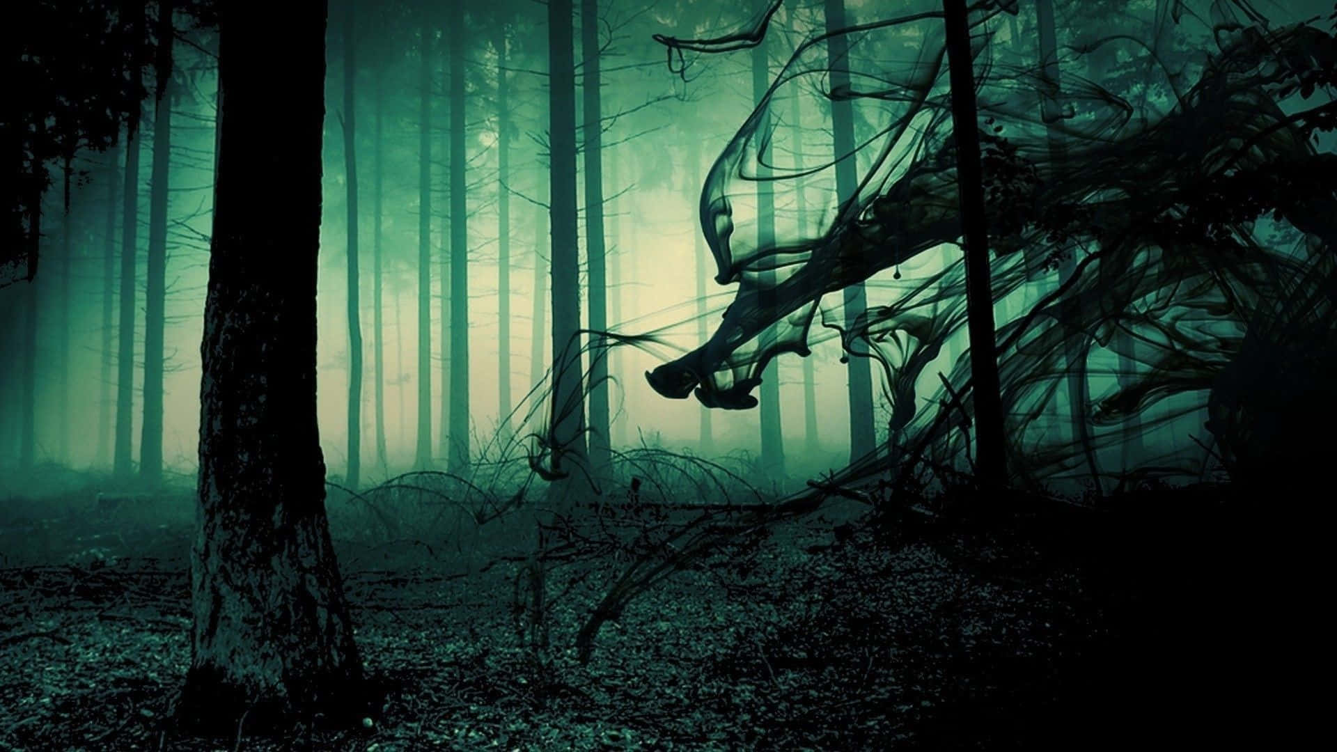 Haunted Forests Wallpaper