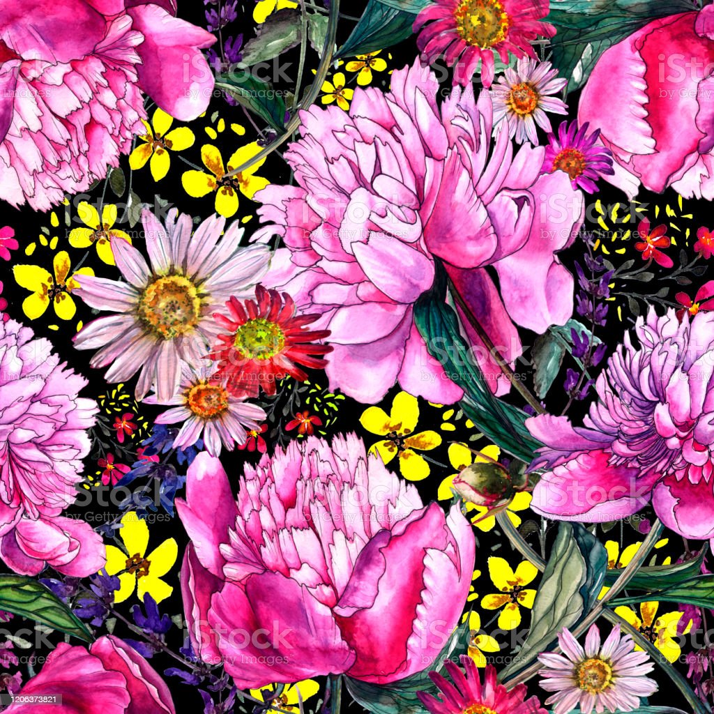 Watercolor Drawing Of Peony Flowers Summer Design Design Of Textiles Covers Wallpaper Fabrics Packaging Wrapping Paper Cards And Invitations Stock Illustration Image Now