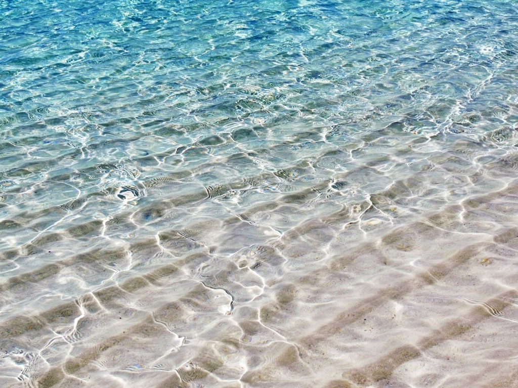 Clear Sea Sand Summer Google+ Cover Photo