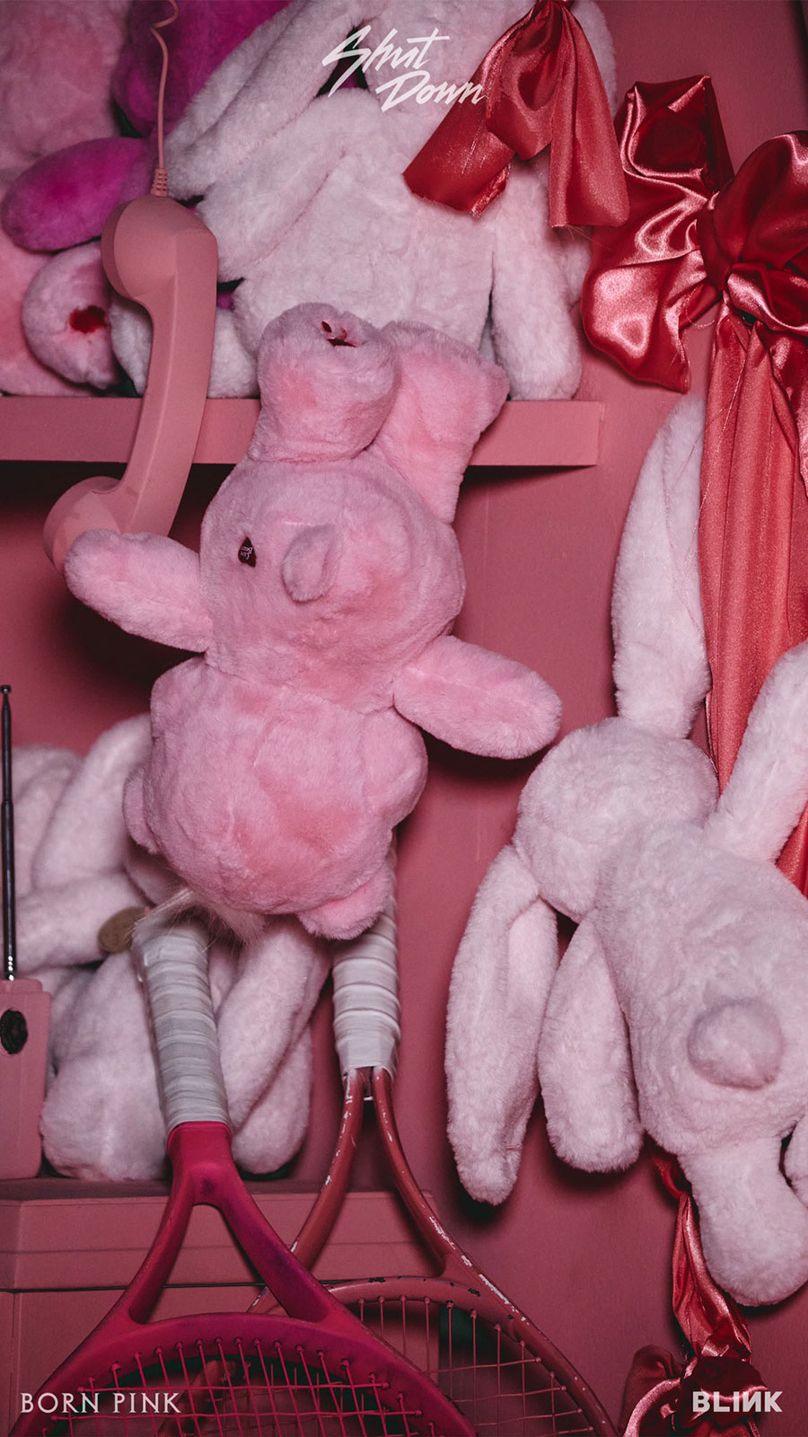 BLACKPINK “BORN PINK” Wallpaper for BLINK