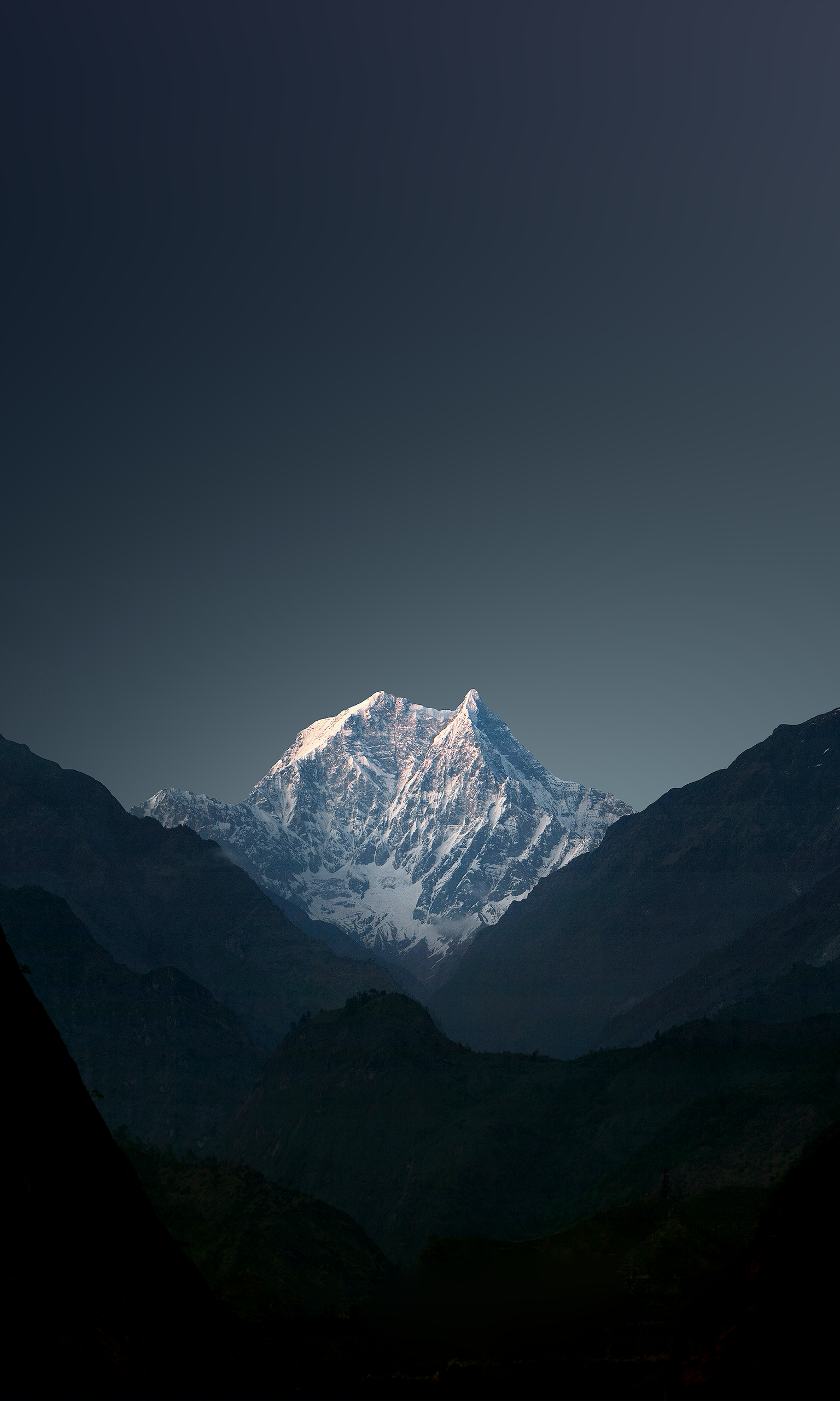 Free download 50 Wallpaper in honor of Earth day Photography wallpaper [1536x2560] for your Desktop, Mobile & Tablet. Explore Honor 50 Wallpaper Cent 2015 Wallpaper, 50 Cent Wallpaper, 50 Cent Wallpaper