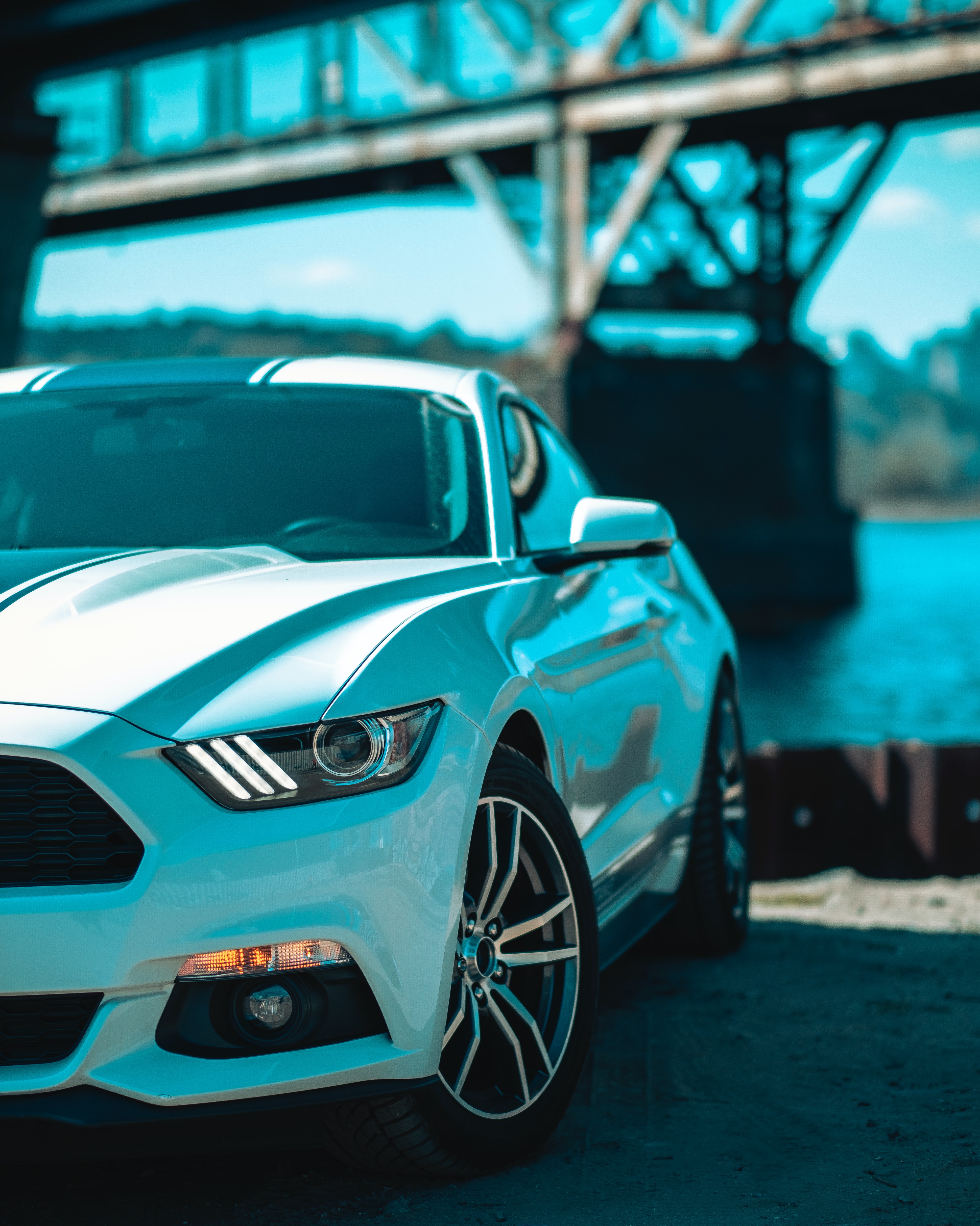 Download Ford Mustang wallpaper for mobile phone, free Ford Mustang HD picture