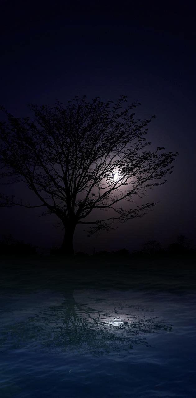 Good night tree sad wallpaper