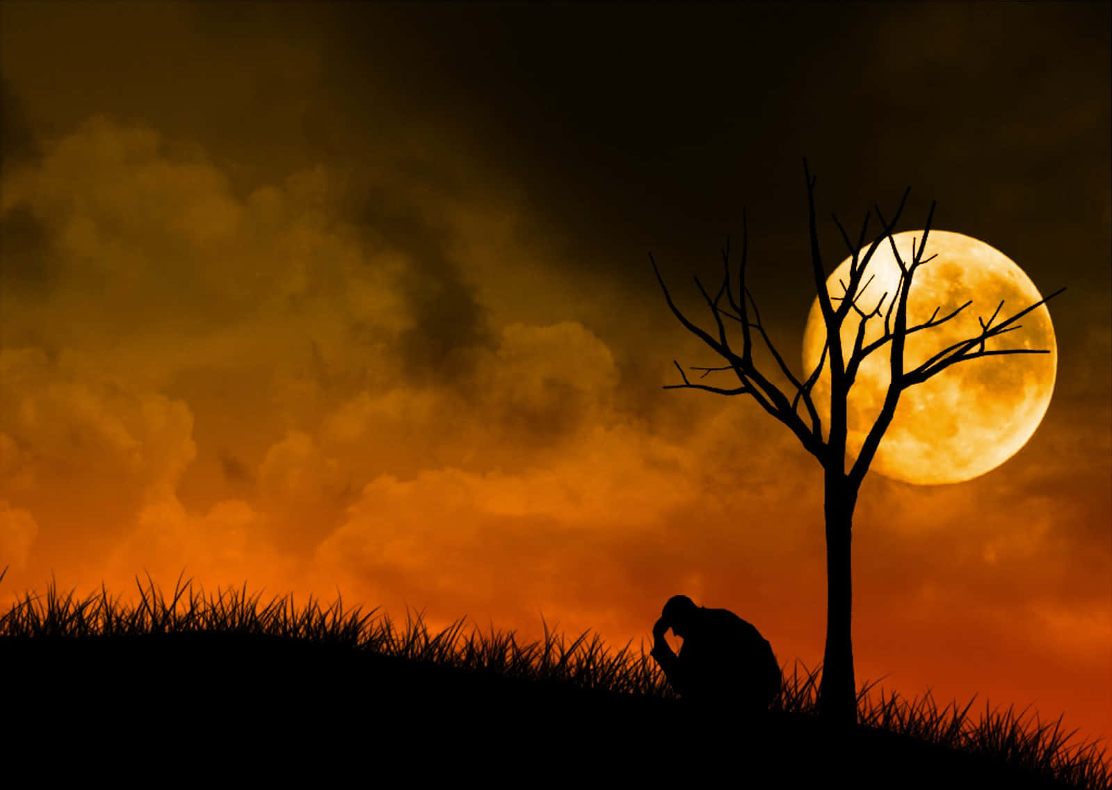 Download Sadness Under The Tree Wallpaper