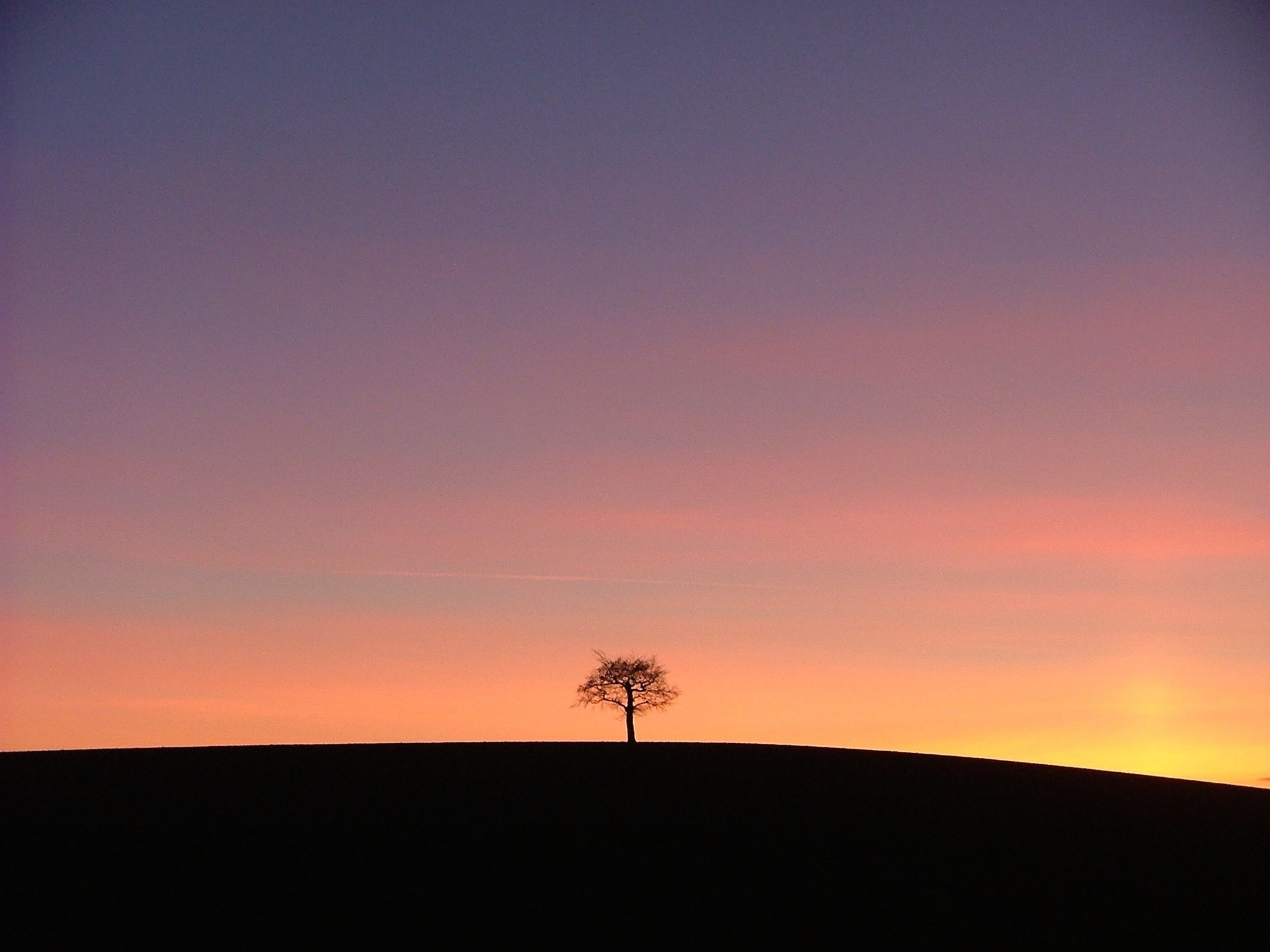 Wallpaper / tree sunset alone lonely silhouette red stonnal 4k wallpaper free download