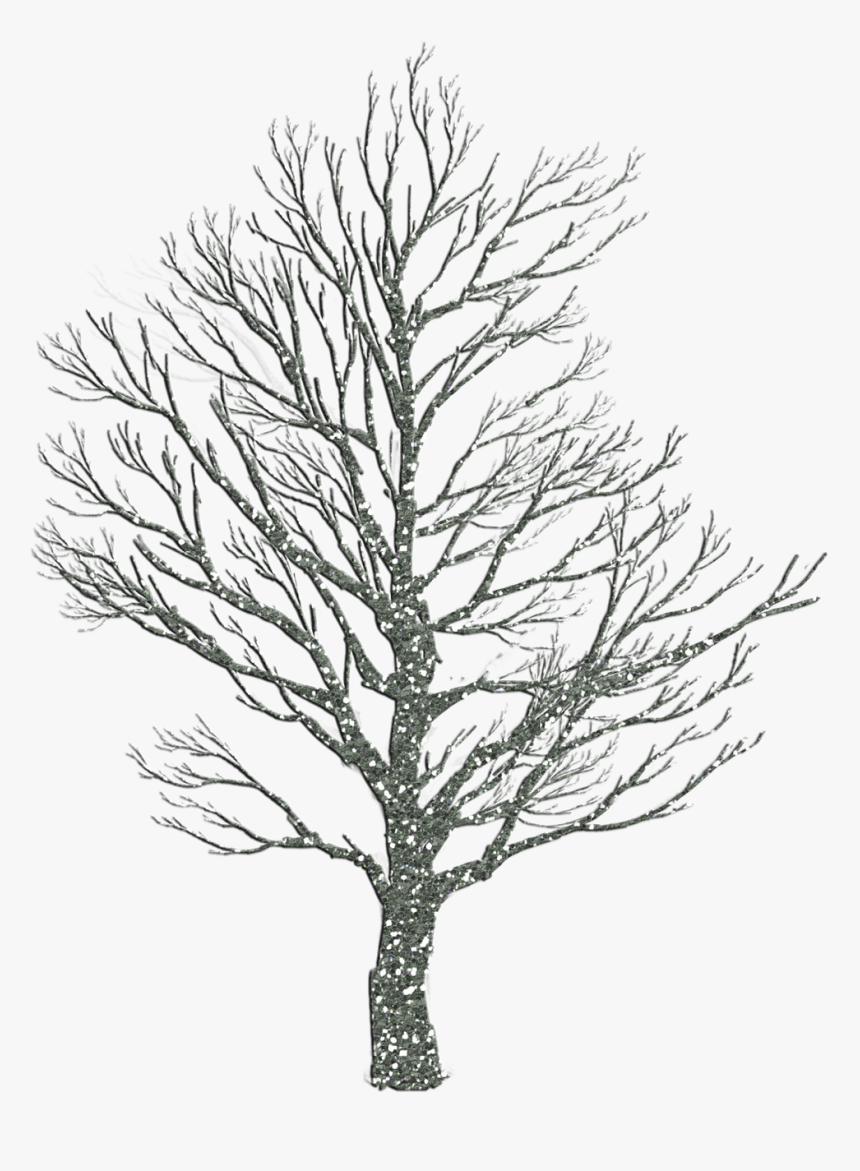 Tree Christmas Holiday Free Picture Tree Wallpaper Hd, HD Png Download, Transparent Png Image