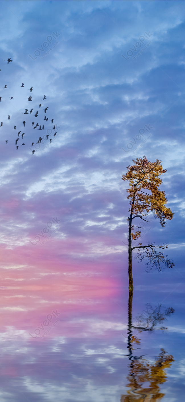 Lonely Tree Cellphone Wallpaper Image Free Download