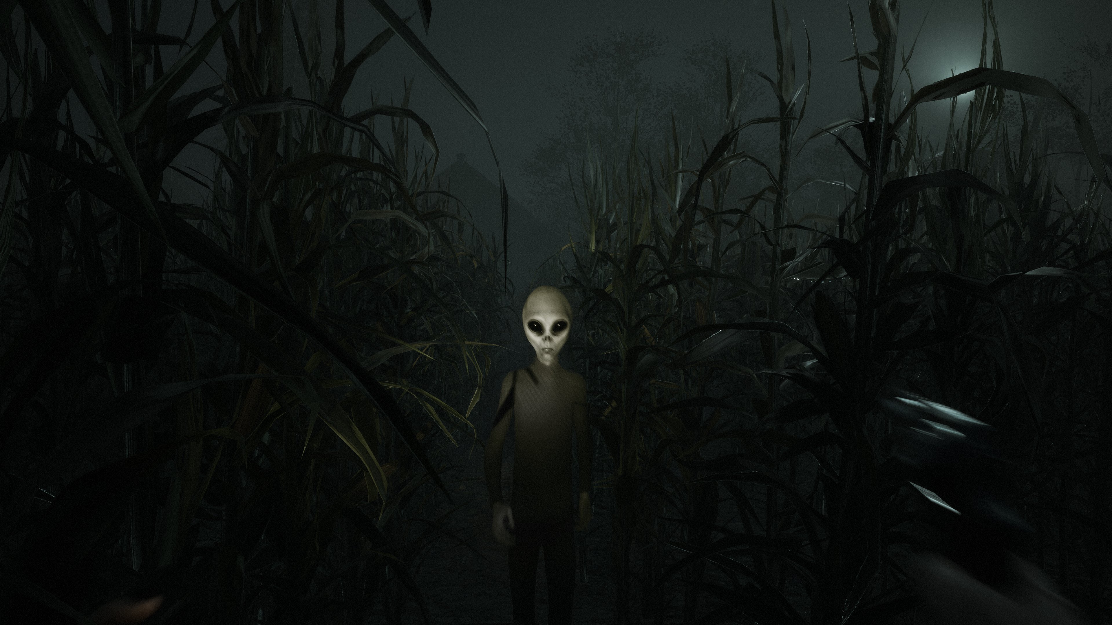 Refugium Games. Greyhill Incident, Wishlist Now! are in the Cornfields of Greyhill!