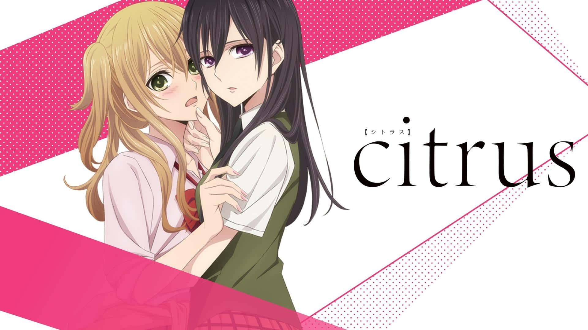 Download Cute Citrus Anime Poster Wallpaper
