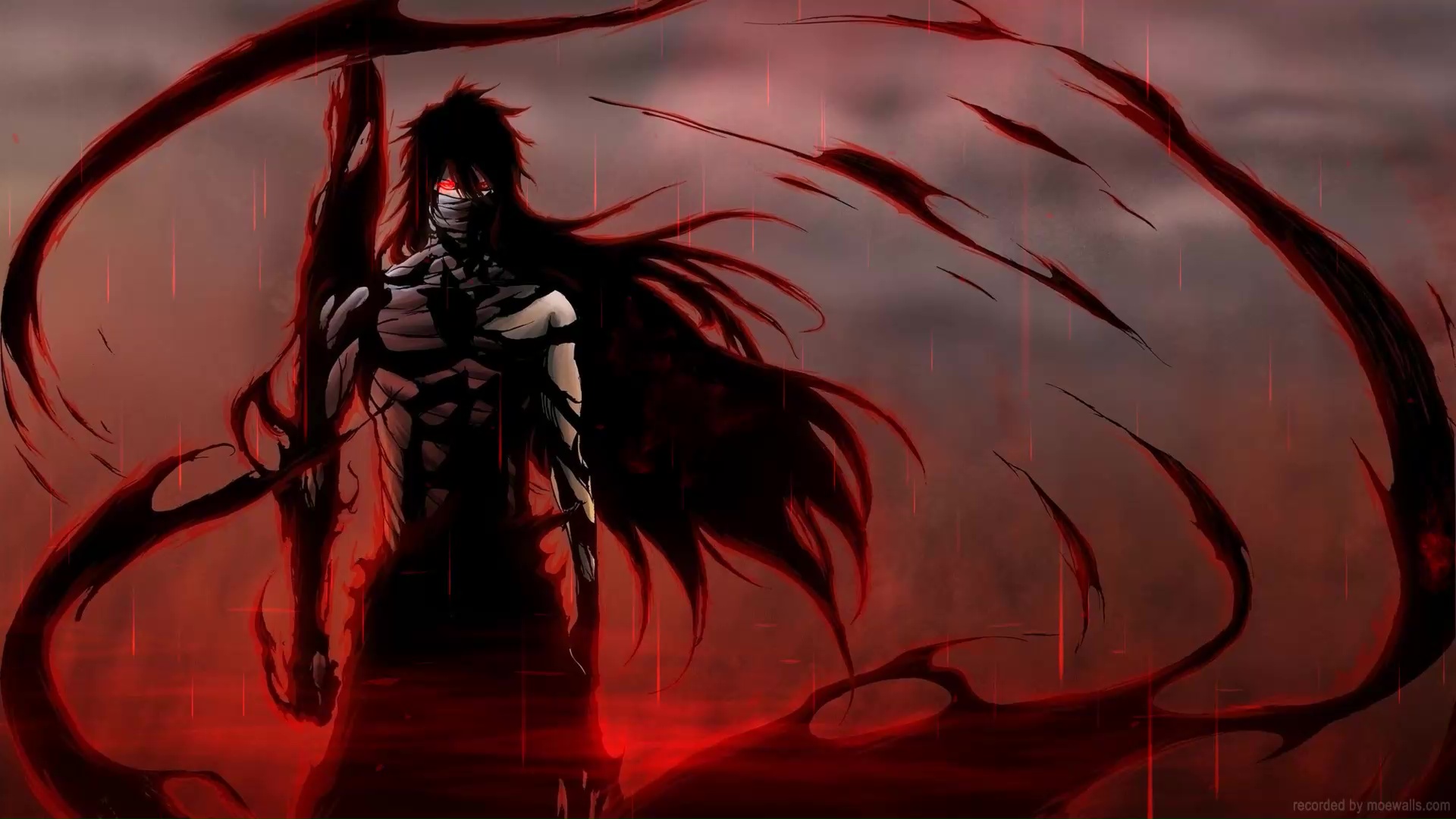 Ichigo Saigo No Getsuga Tenshou Bleach Live Wallpaper