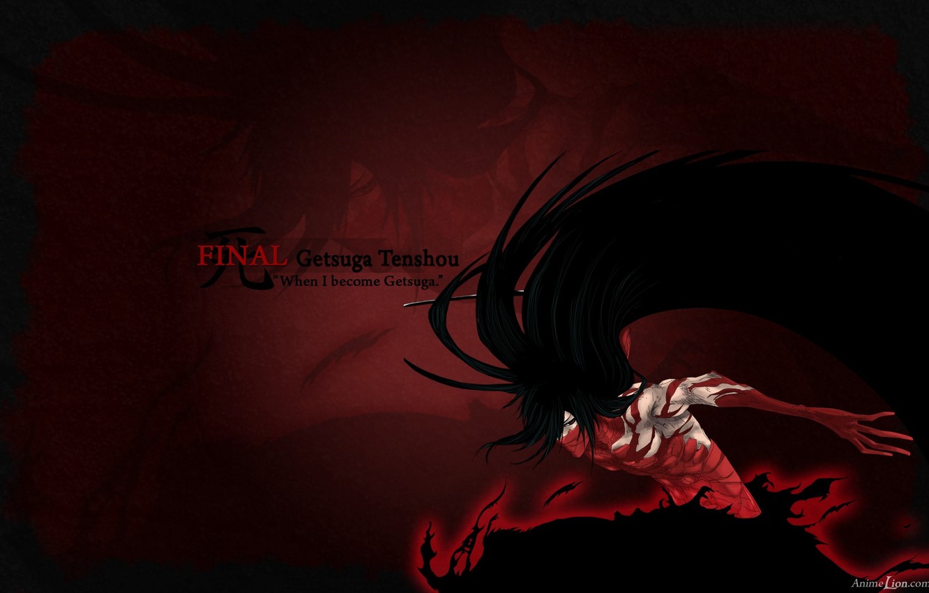 Wallpaper anime, bleach, Ichigo, temporary Shinigami, the final getsuga tenshou image for desktop, section сэйнэн