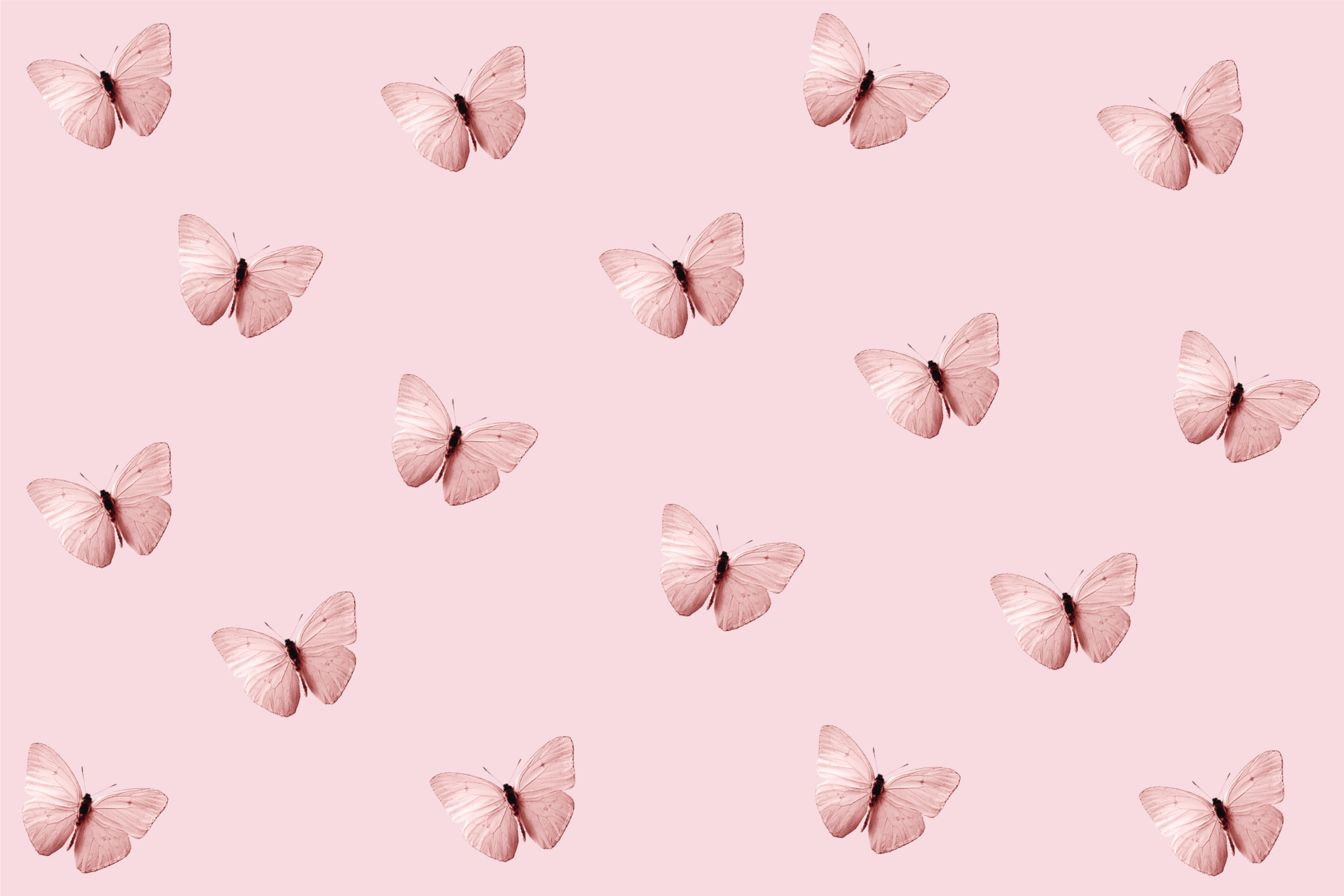 Butterfly Aesthetic Desktop Wallpapers - Wallpaper Cave