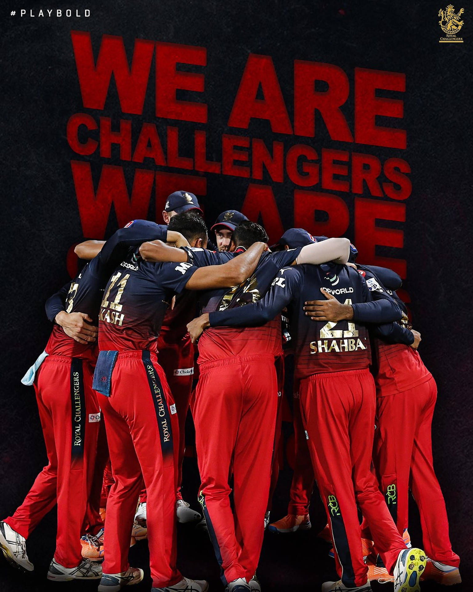 Download Royal Challengers Bangalore Team Wallpaper