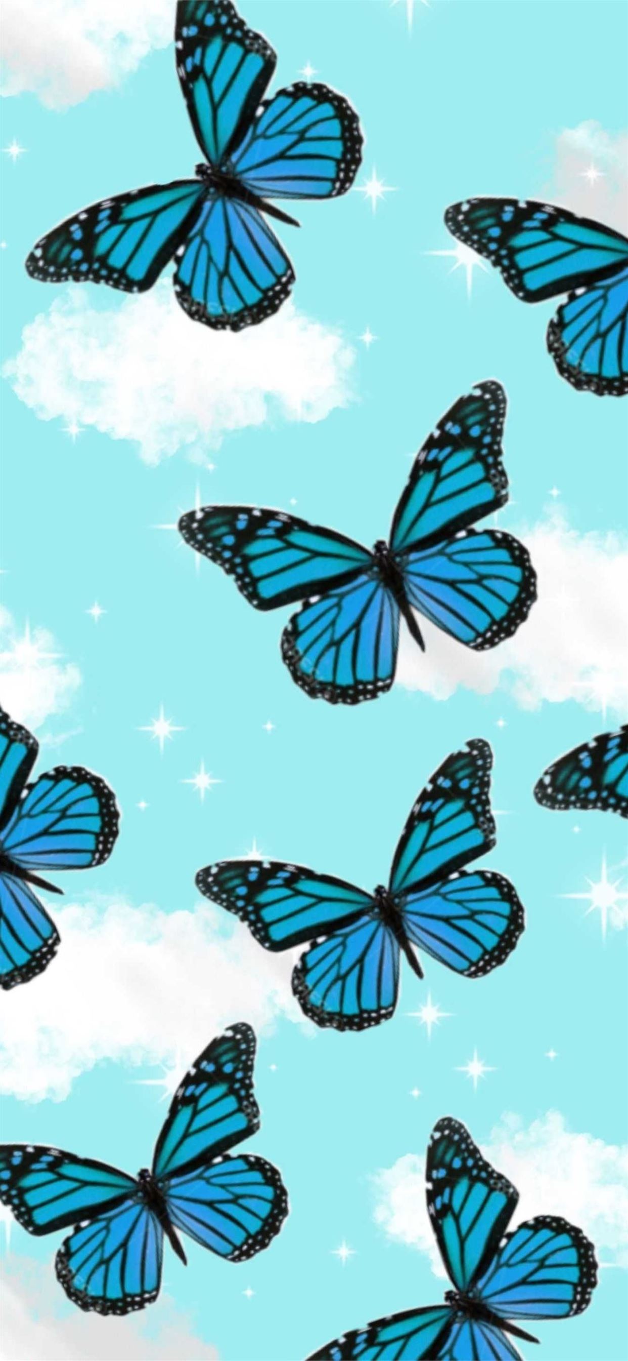 butterfly iPhone Wallpaper Free Download