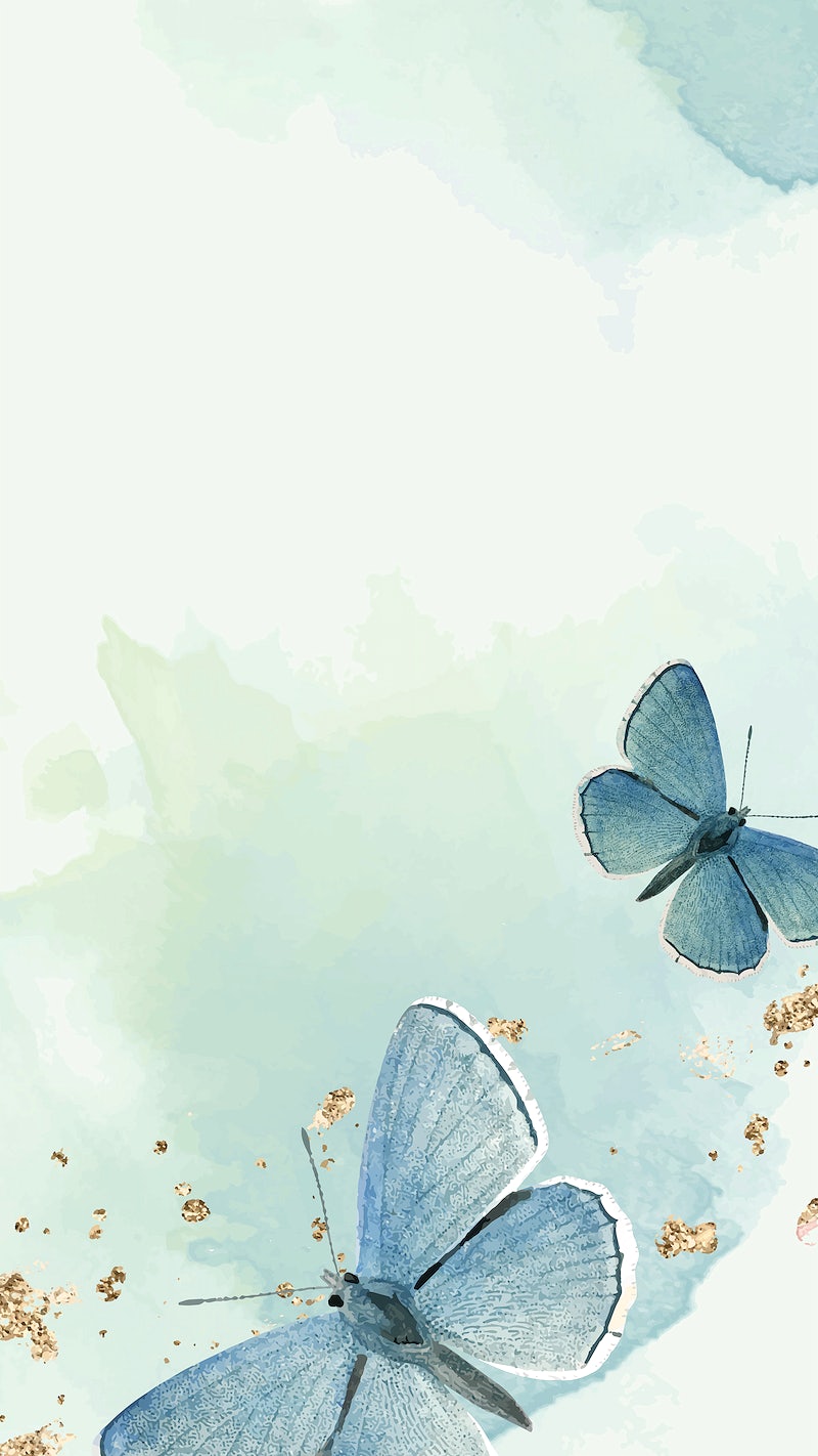 Butterfly iPhone Wallpaper Image Wallpaper
