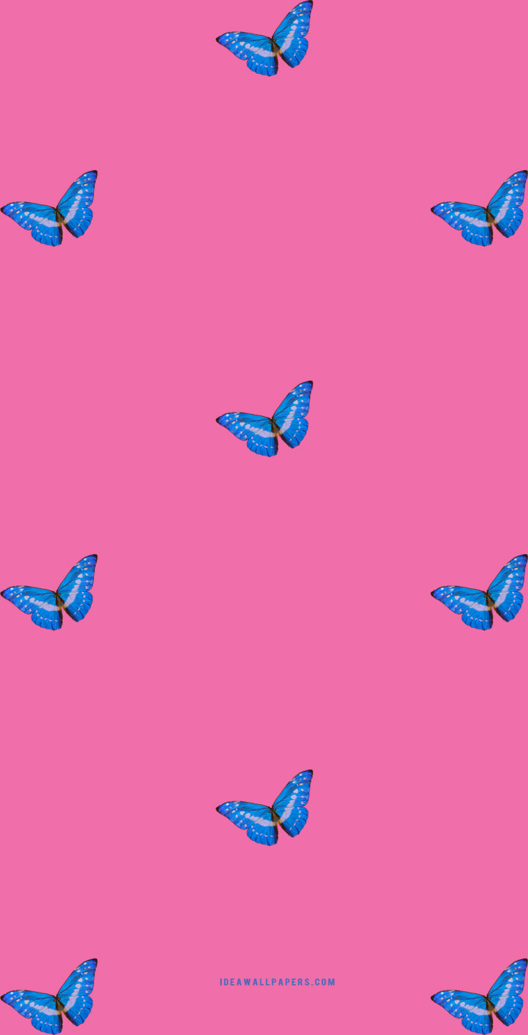 Butterfly on pink background Wallpaper