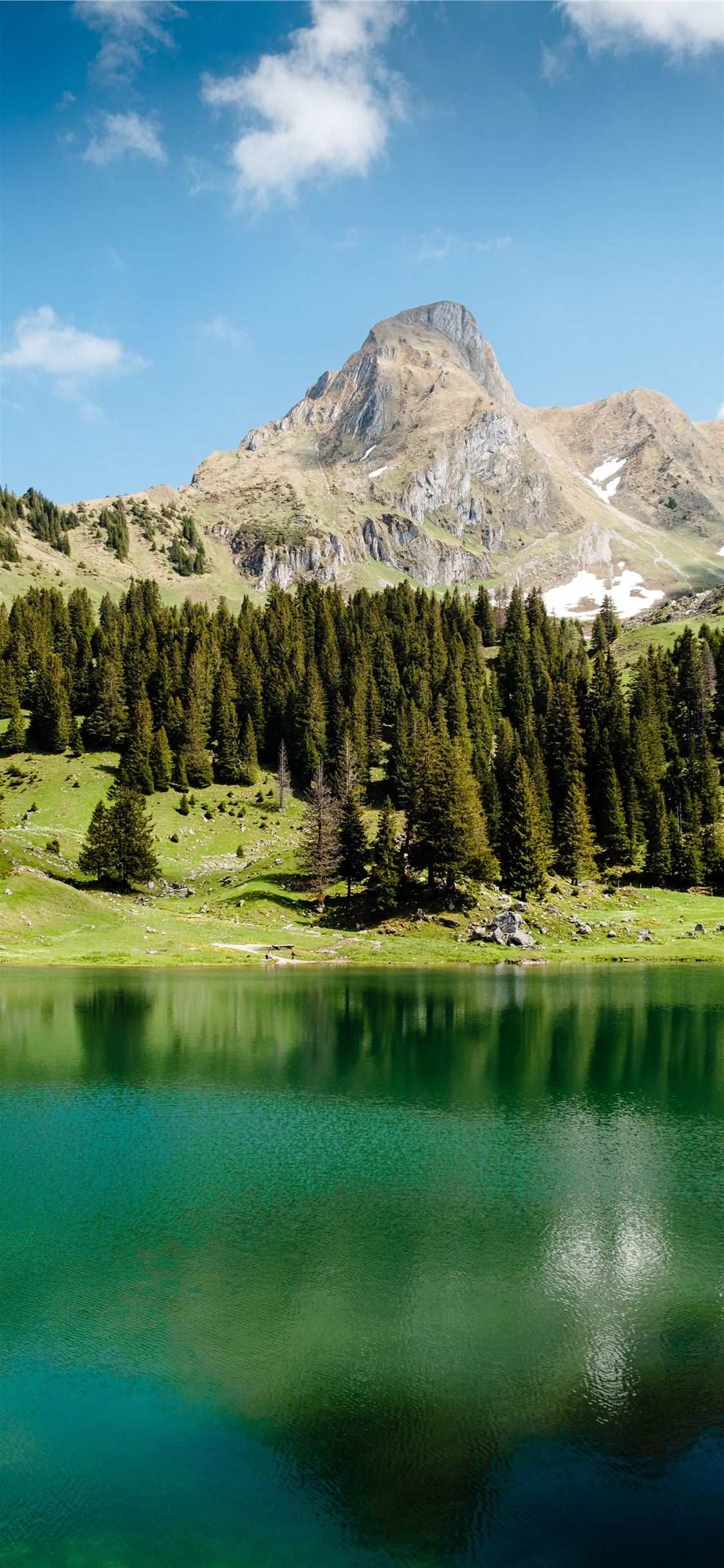 Gantrischseeli lake 4K Pine trees Spring Reflectio. iPhone Wallpaper Free Download