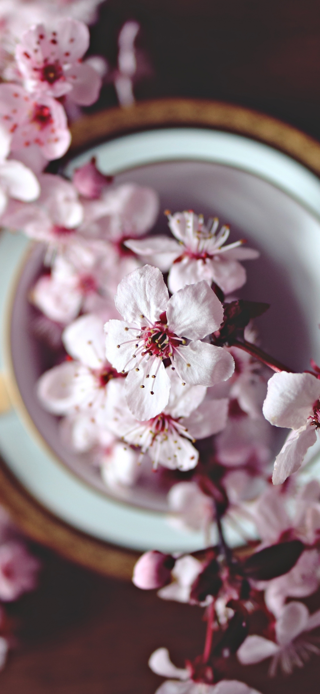 Download wallpaper 1125x2436 pink