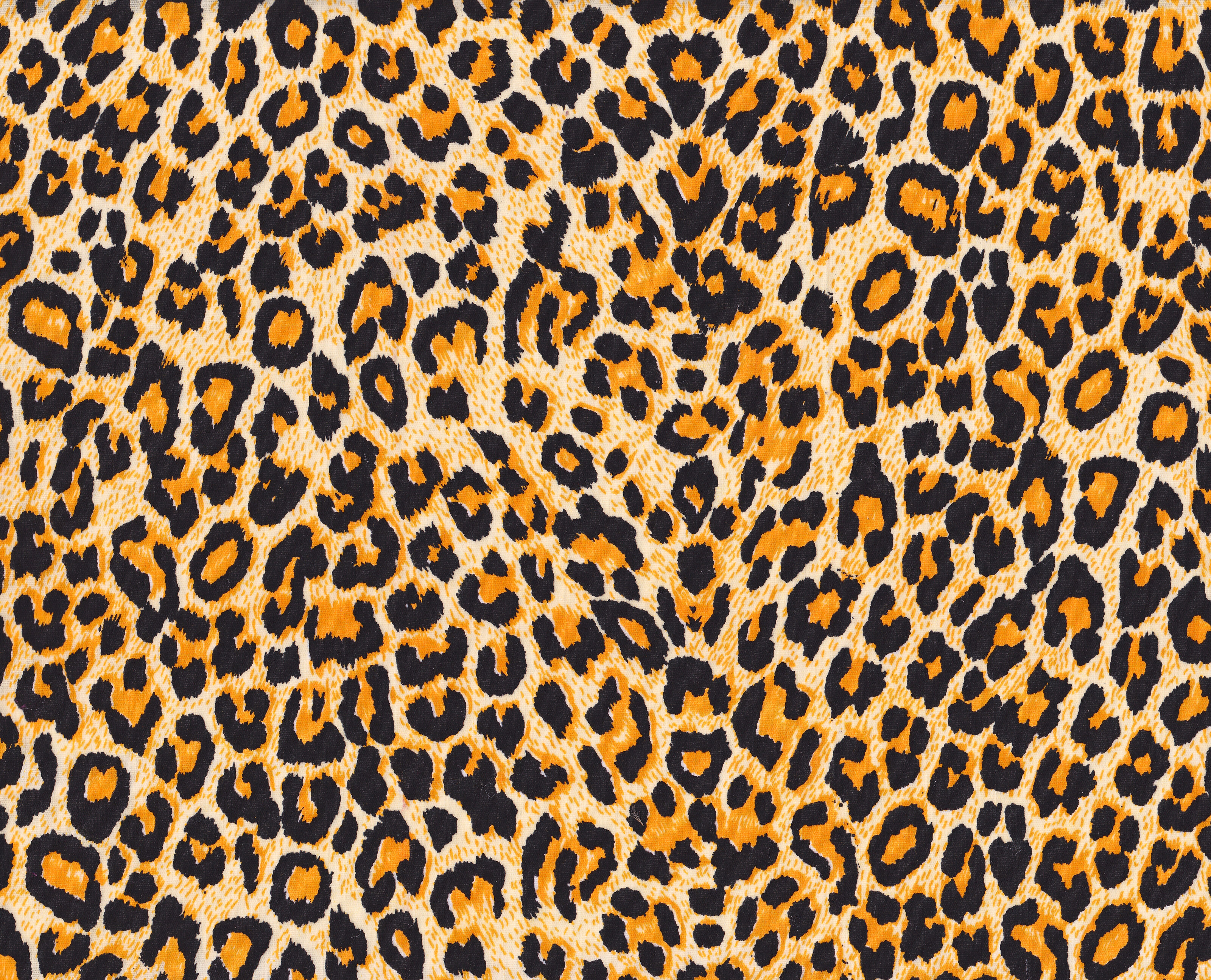 Leopard Skin Texture Wall Mural Your Way