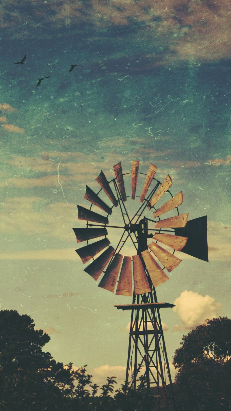 Cottagecore iPhone Wallpaper (Free to download)