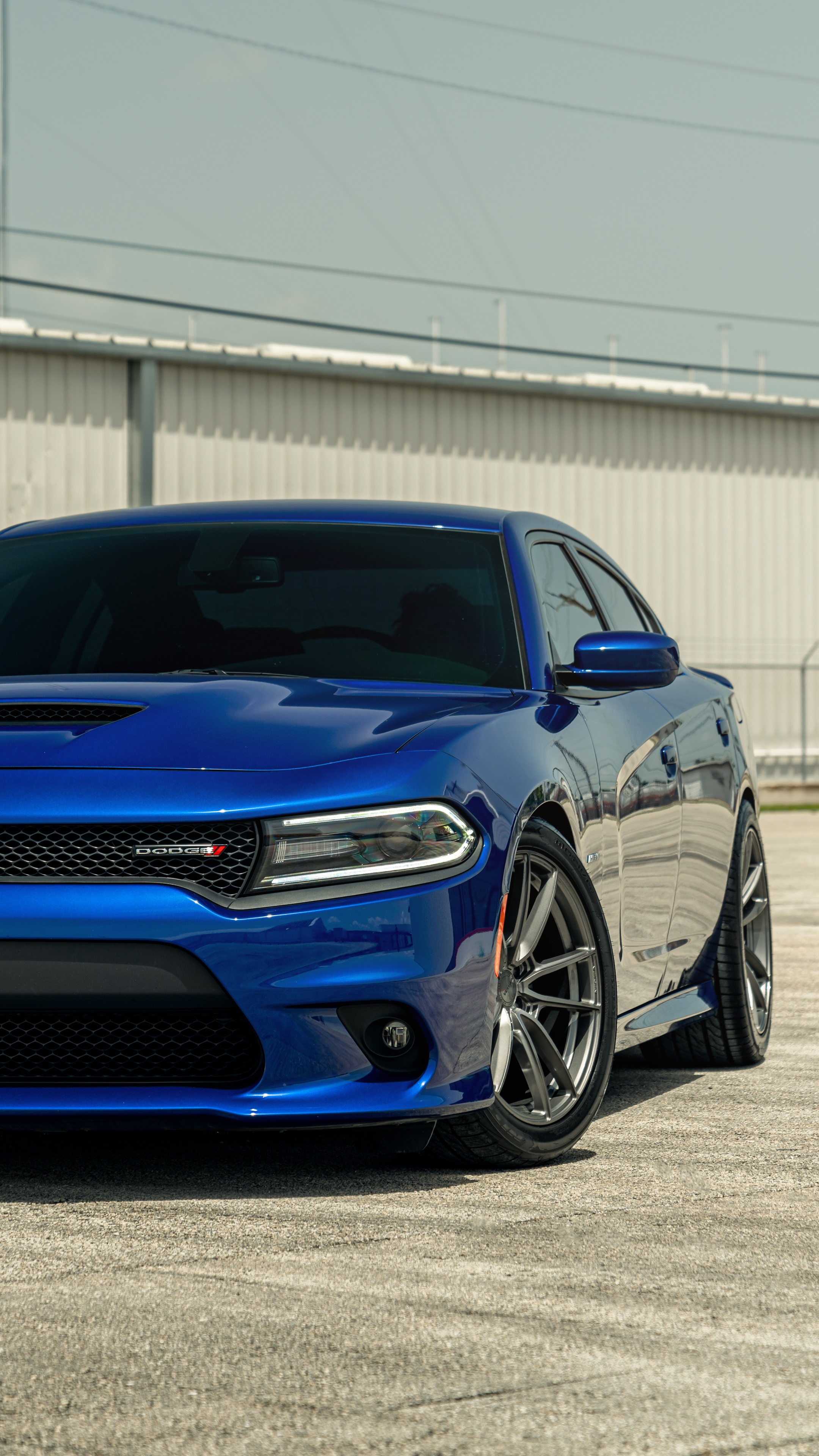 dodge charger, dodge, cars, Gallery HD Wallpaper