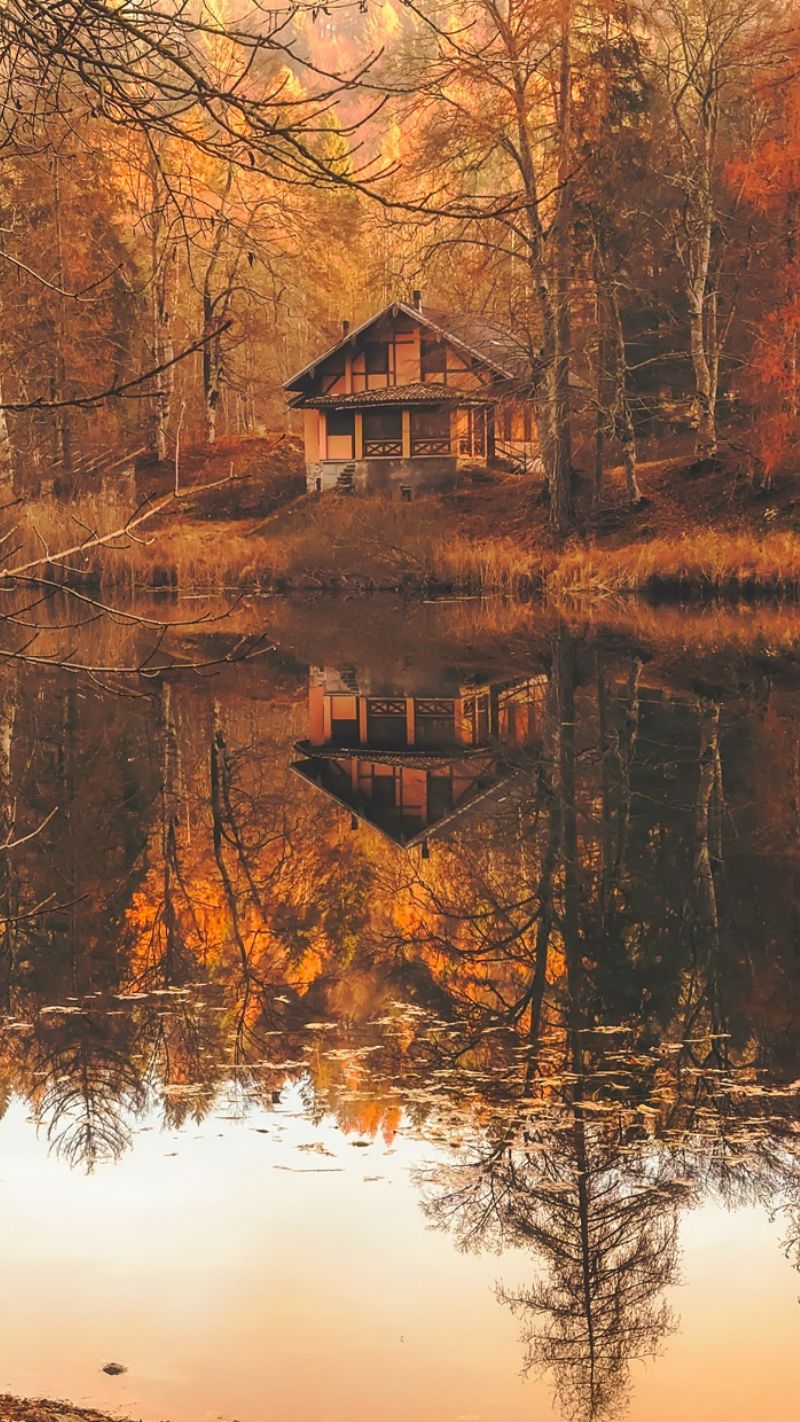 Cottagecore iPhone Wallpaper (Free to download)