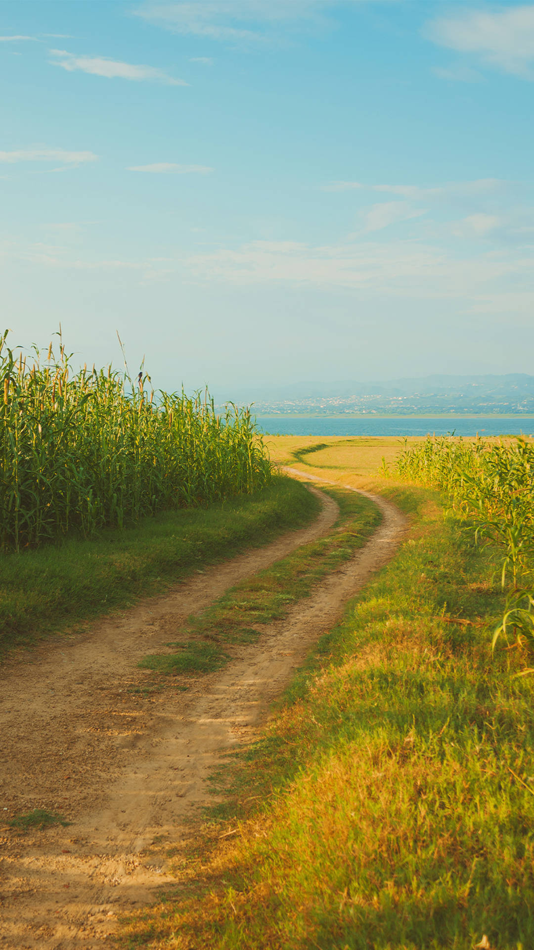 Download Cottagecore Aesthetic Meadow Trail Wallpaper