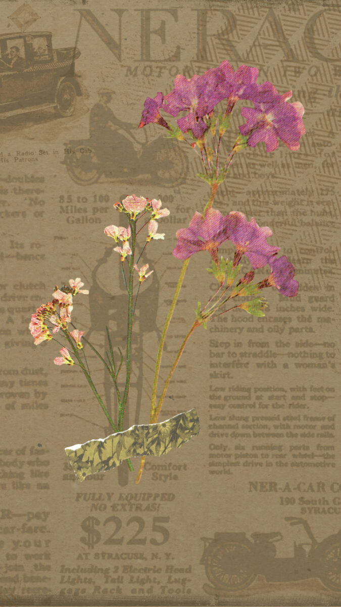 Idyllic Cottagecore Wallpaper For Your iPhone