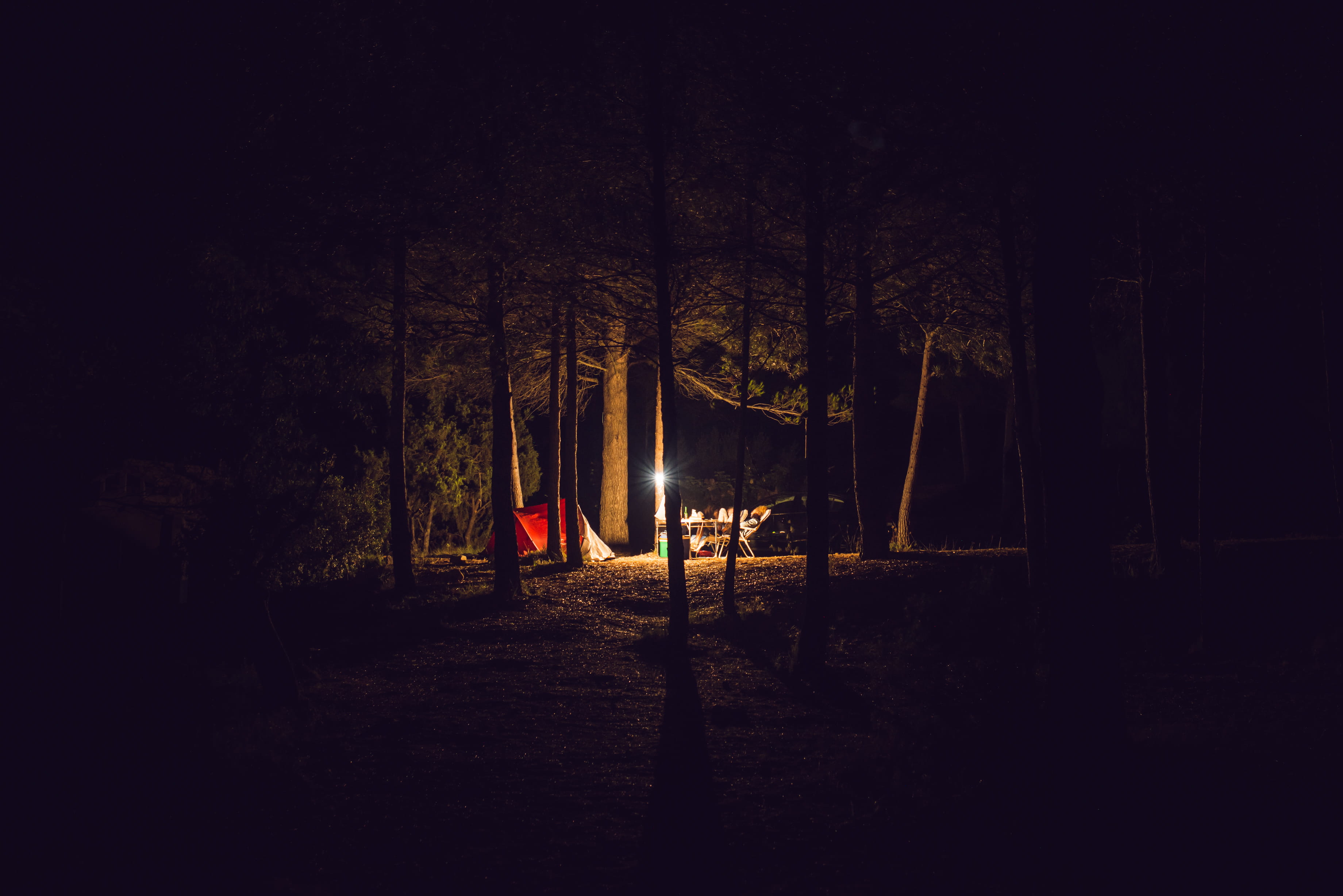 Wallpaper / forest, sunset, tree, adventure, spooky, summer, night, eerie, camping, illuminated, dark, mountain, sunlight, light, outdoors, time, campsite, horror free download