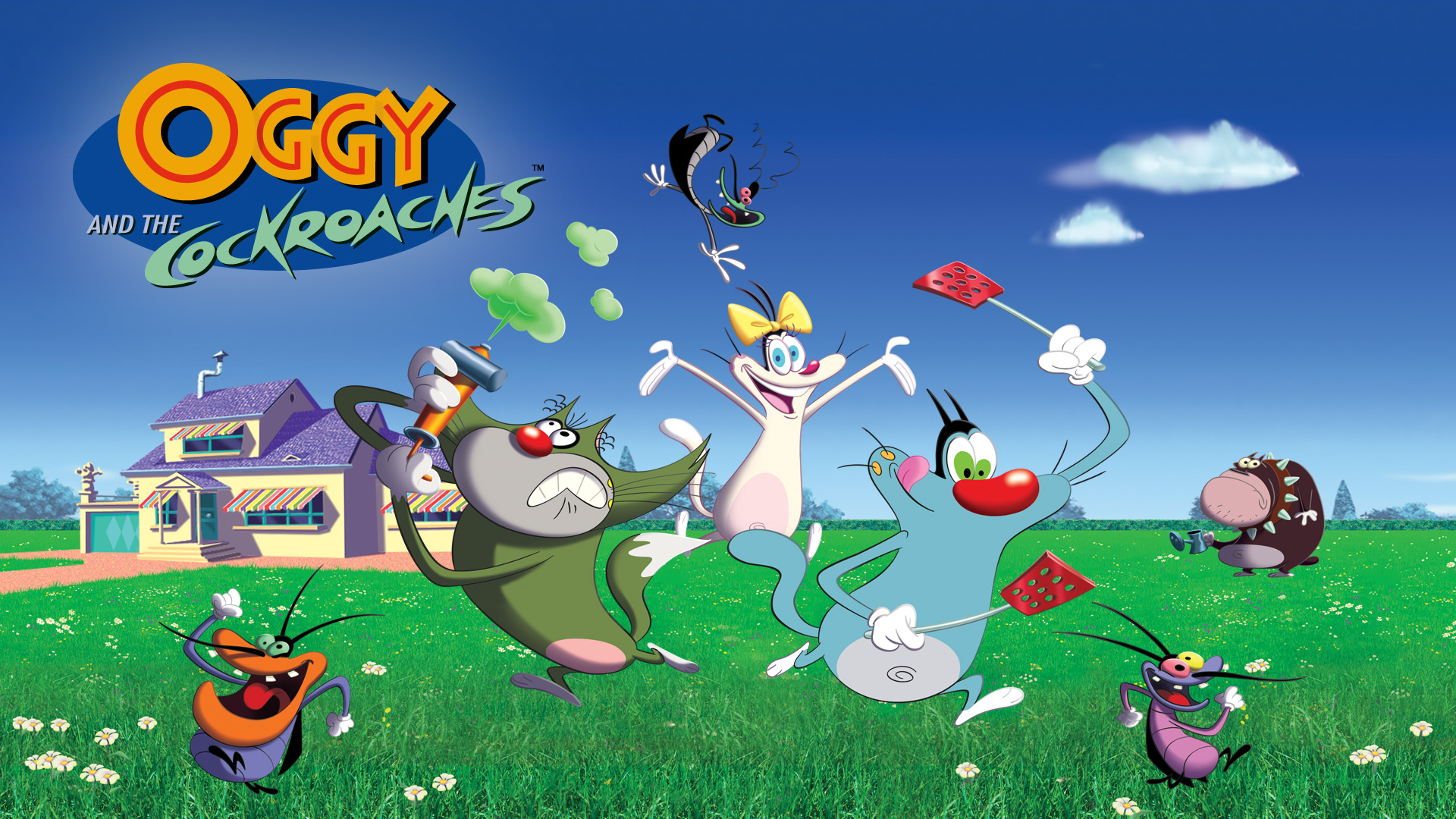 Free download Watch Oggy the Cockroaches Prime Video [1920x1080] for your Desktop, Mobile & Tablet. Explore Oggy The Cat Wallpaper. Sylvester The Cat Wallpaper, Cat Background, Cat Wallpaper