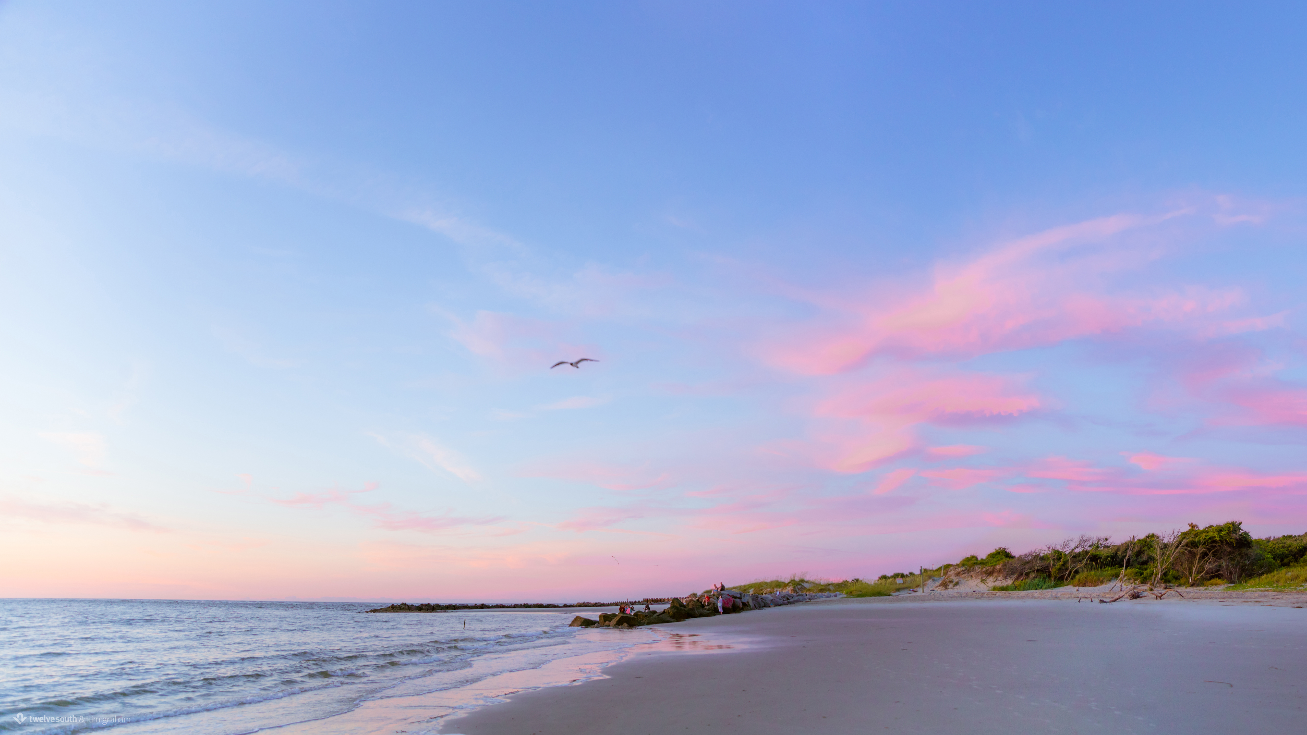 Dual Screen Wallpaper: Charleston at Sea Level