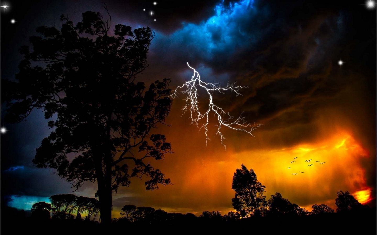 Download wallpaper 1440x900 lightning, sky, trees, outlines, stars, bad weather, night, orange, birds widescreen 16:10 HD background