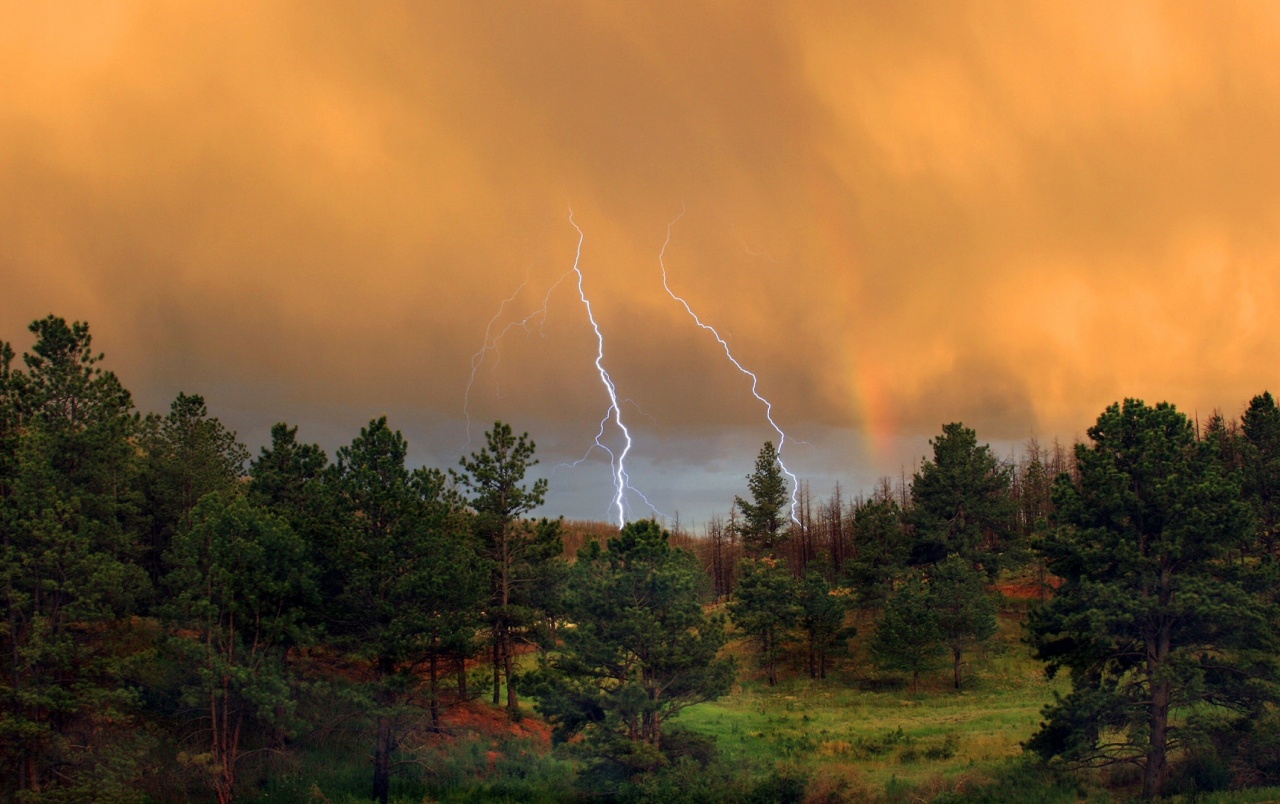 Orange Sky Forest ThunderStorm wallpaper. Orange Sky Forest ThunderStorm