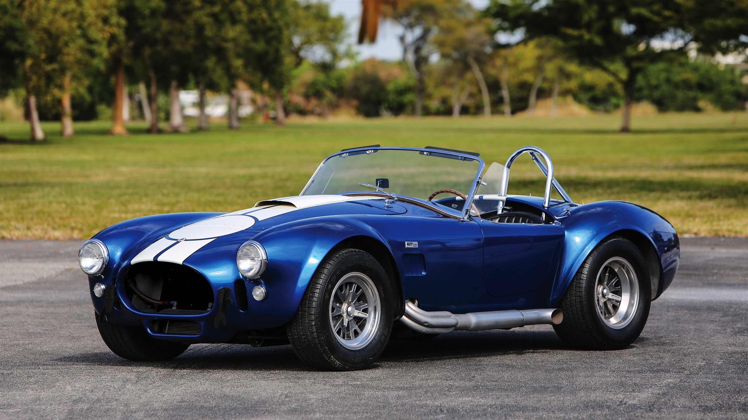 Wallpaper, Shelby Cobra 427, blue cars, nature, rear view, tires, Headlights, grass, trees, asphalt 2560x1440