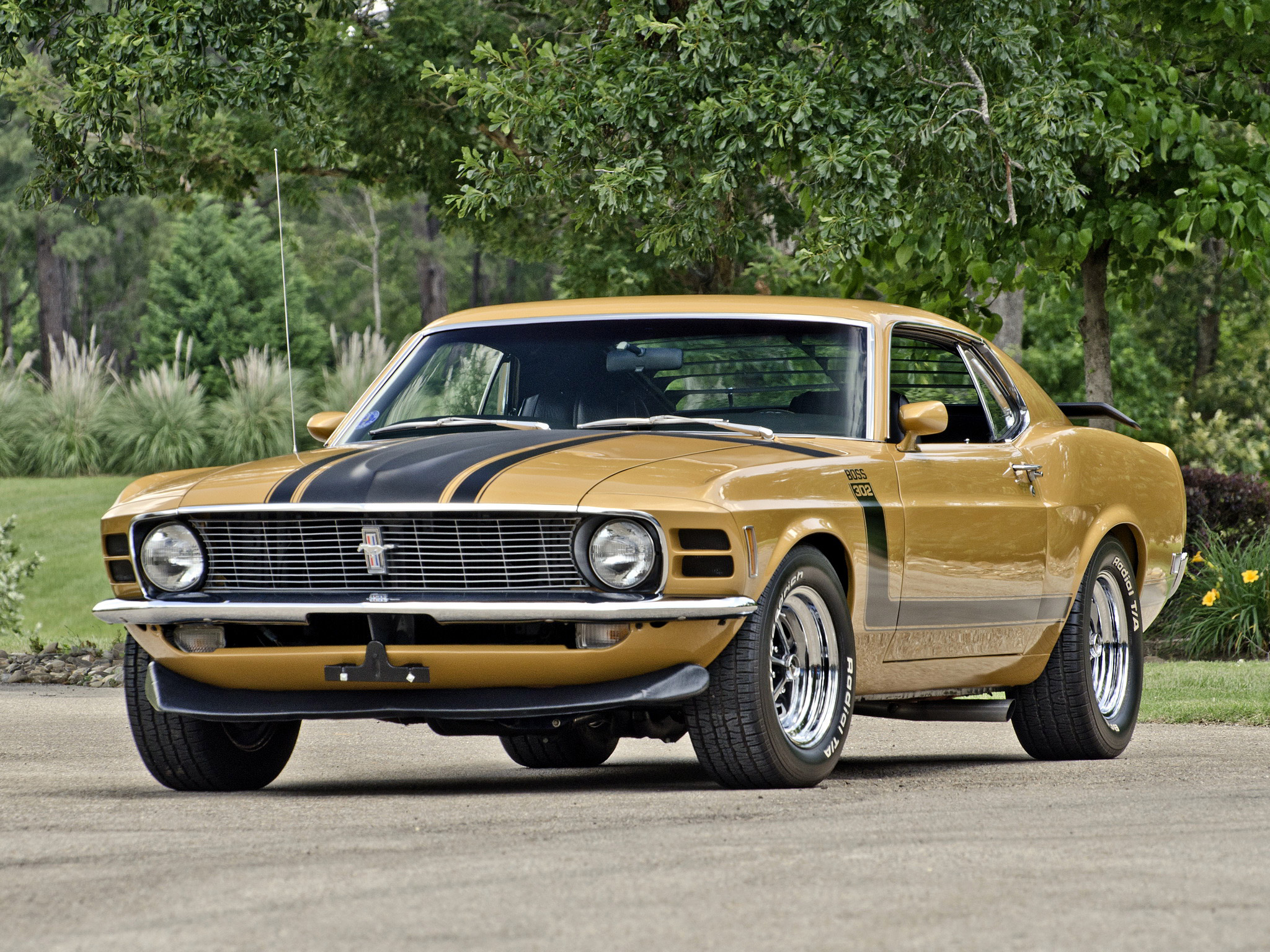 Ford Mustang Boss 302 Wallpaper