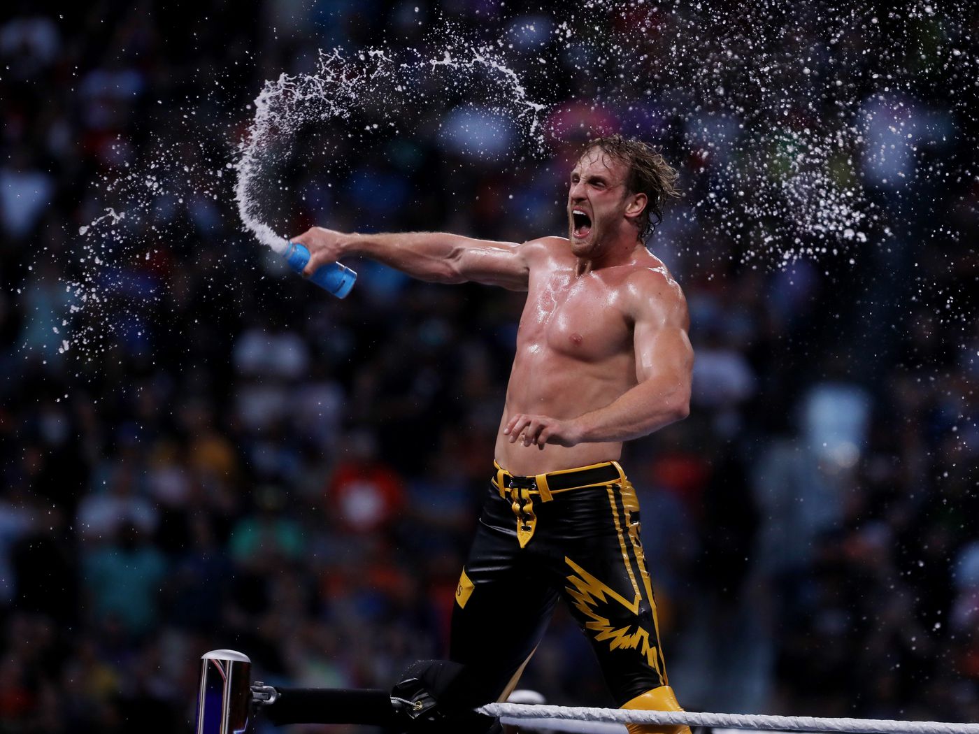 Logan Paul Vs. Roman Reigns To Be WWE Crown Jewel Main Event At November Pay Per View