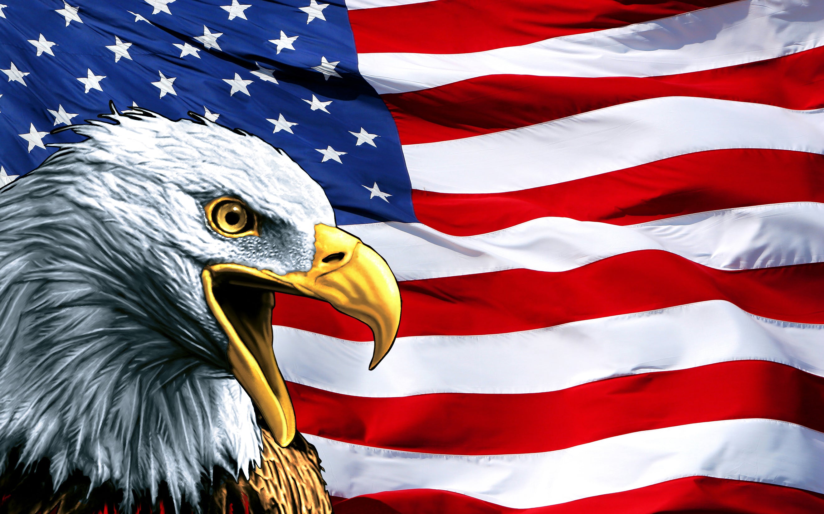 Eagle With American Flag 4k Wallpapers - Wallpaper Cave