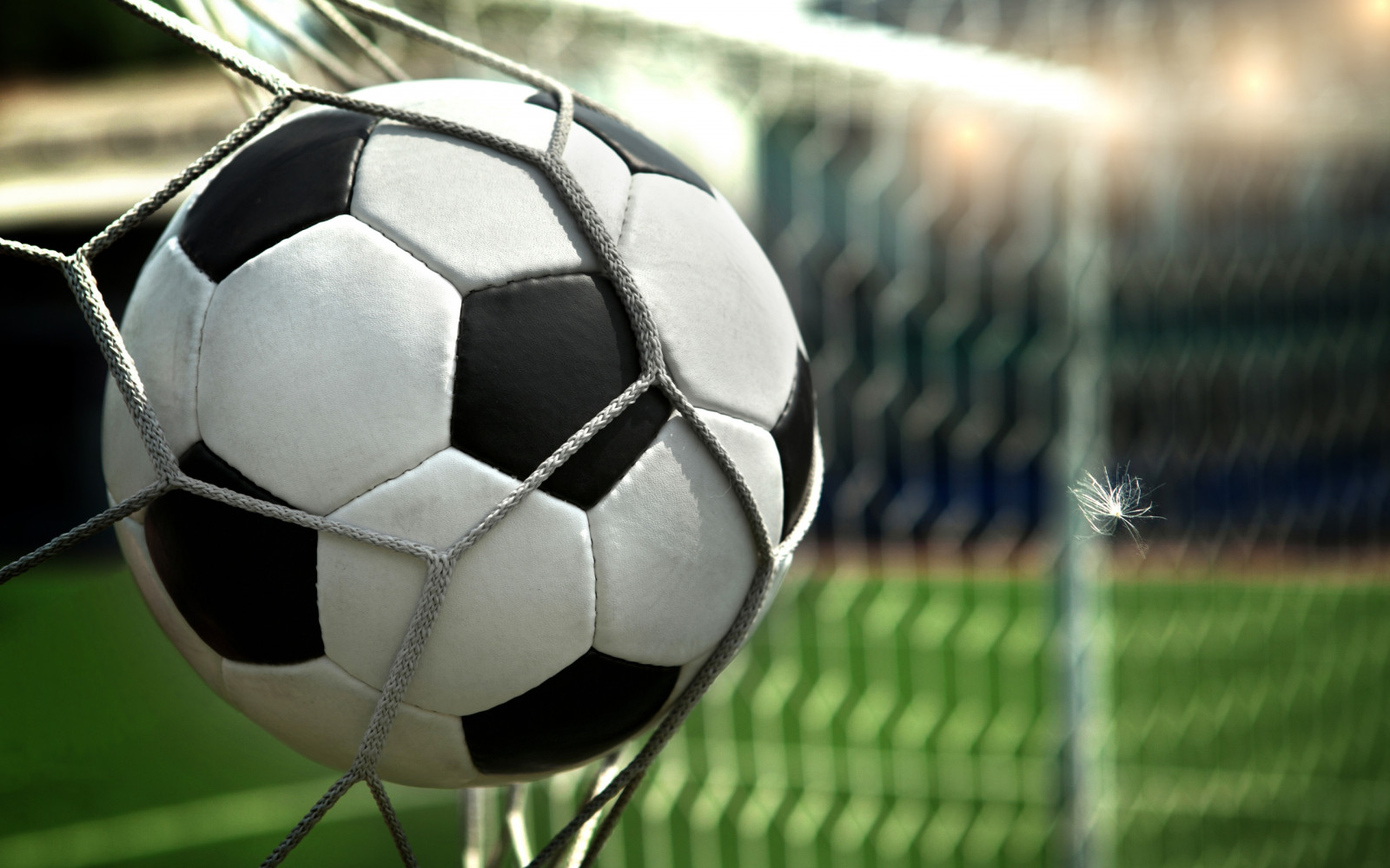 Wallpaper, Goal, ball, wheel, net, feather, football player, sports equipment, sport venue, soccer specific stadium 2560x1600