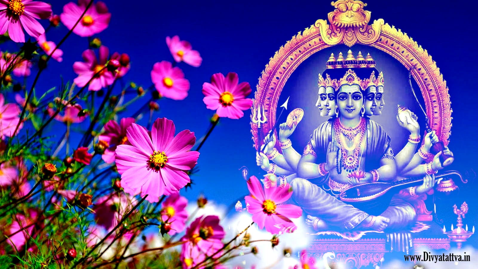 Lord Medha Dakshinamurthy 4K HD Wallpaper Photo Picture for Free Download