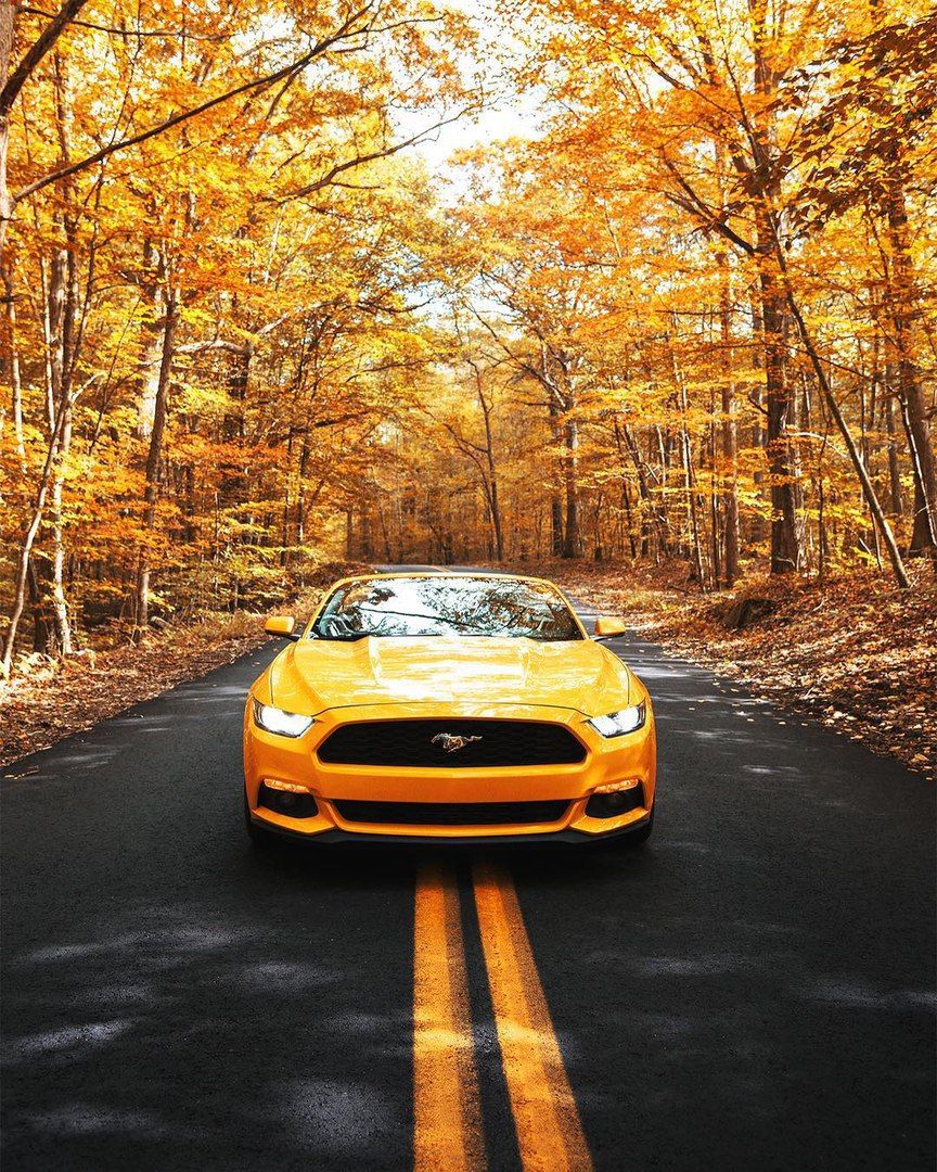 Yellow. Yellow mustang, Super cars, Mustang wallpaper